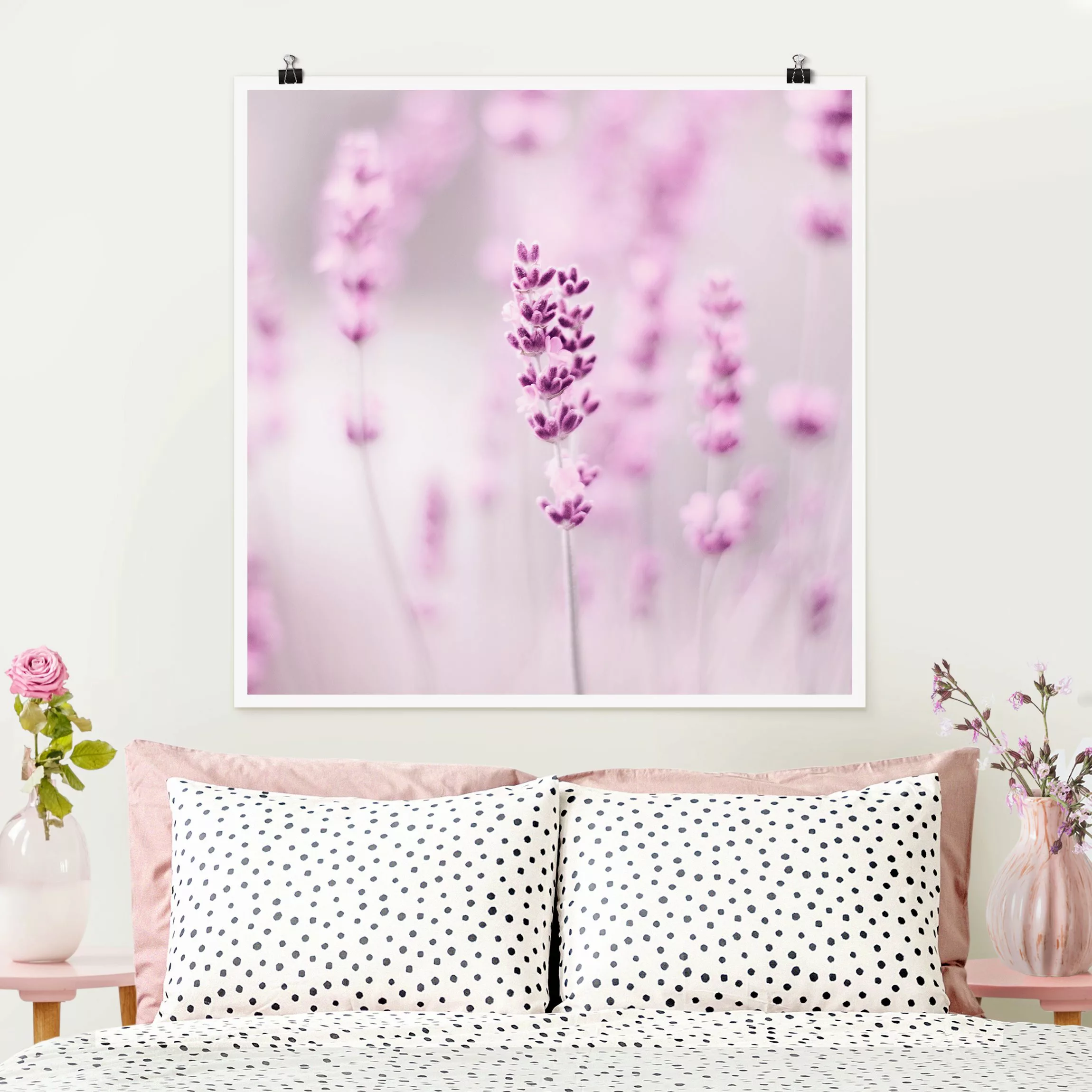 Poster Zartvioletter Lavendel günstig online kaufen