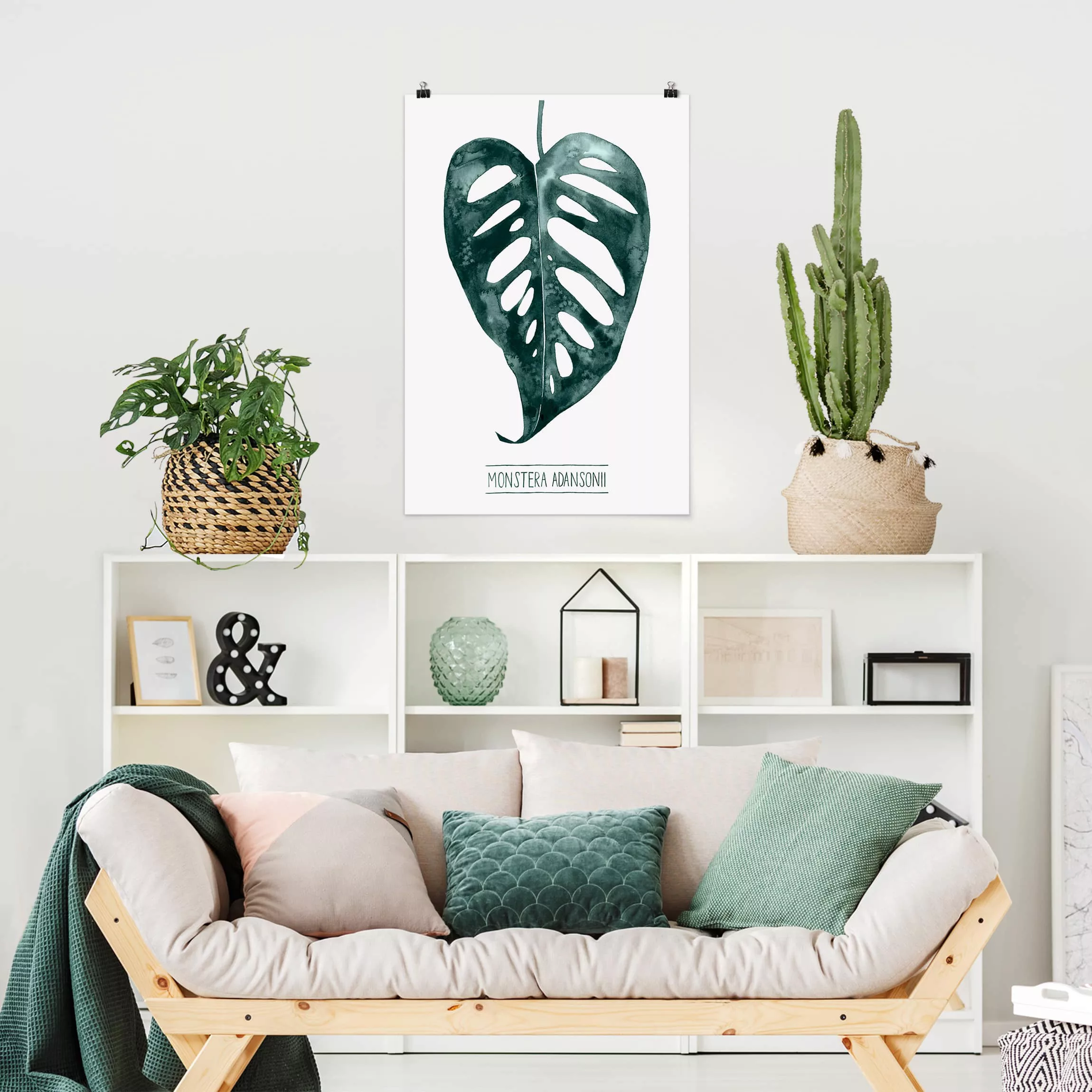 Poster Blumen - Hochformat Smaragdgrüne Monstera Adansonii günstig online kaufen