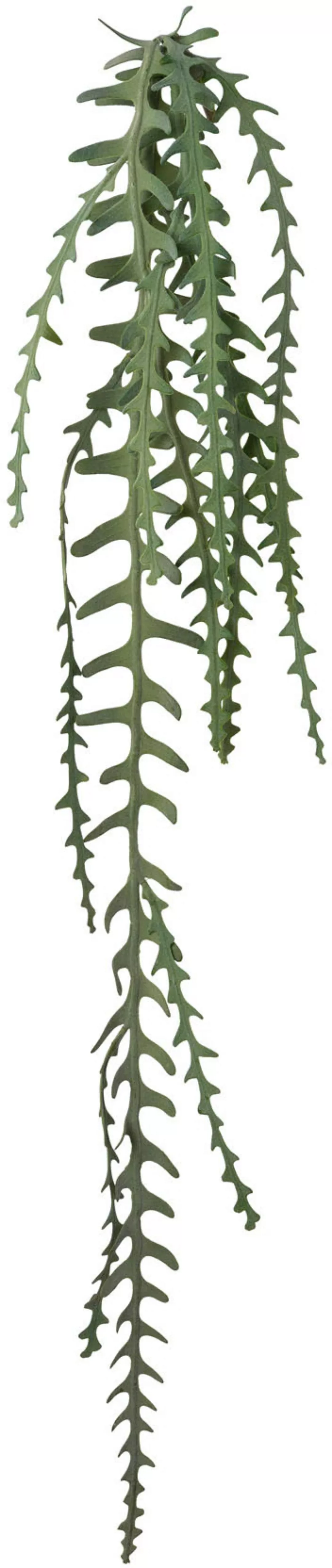 Creativ green Kunstgirlande "Epiphyllumranke" günstig online kaufen