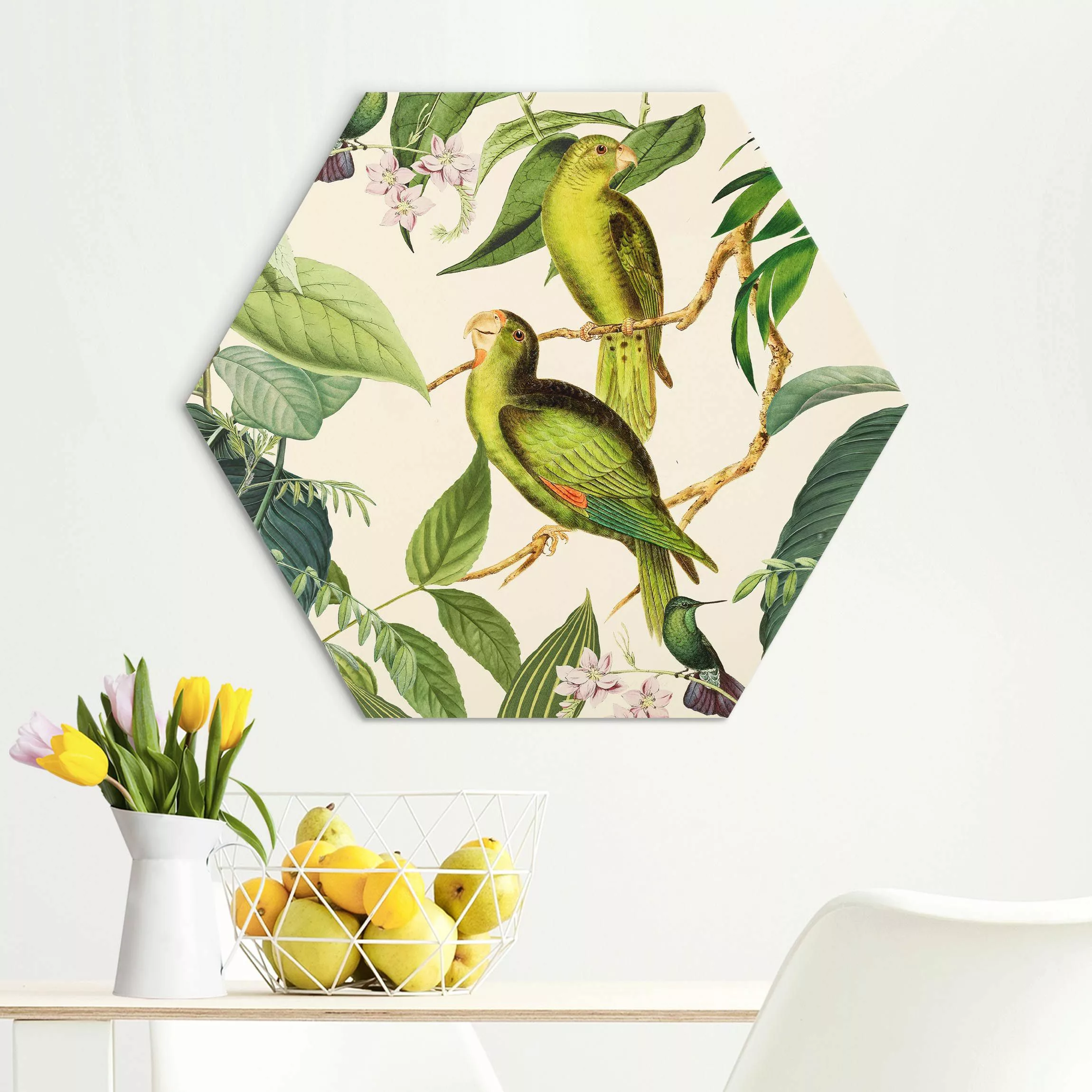 Hexagon-Alu-Dibond Bild Vintage Collage - Papageien im Dschungel günstig online kaufen