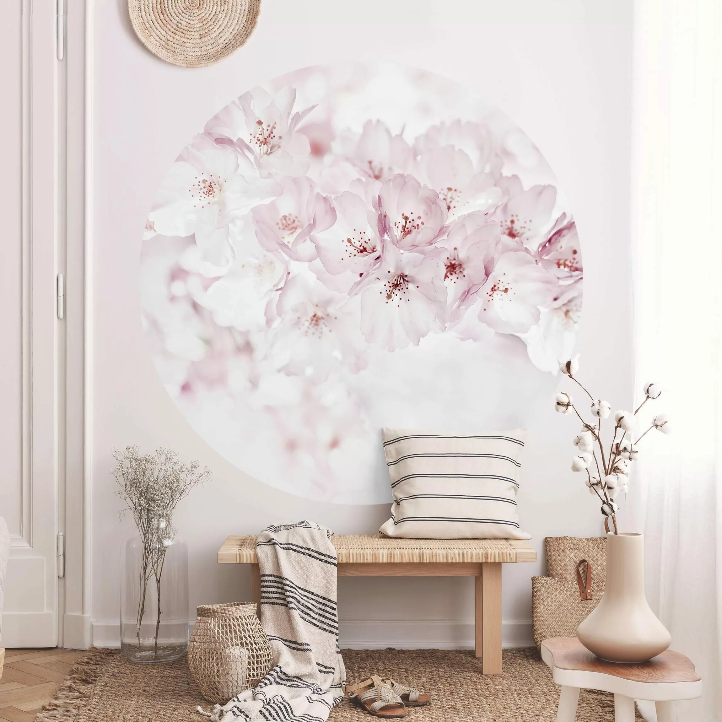 Runde Tapete selbstklebend Ein Kirschblütenhauch günstig online kaufen