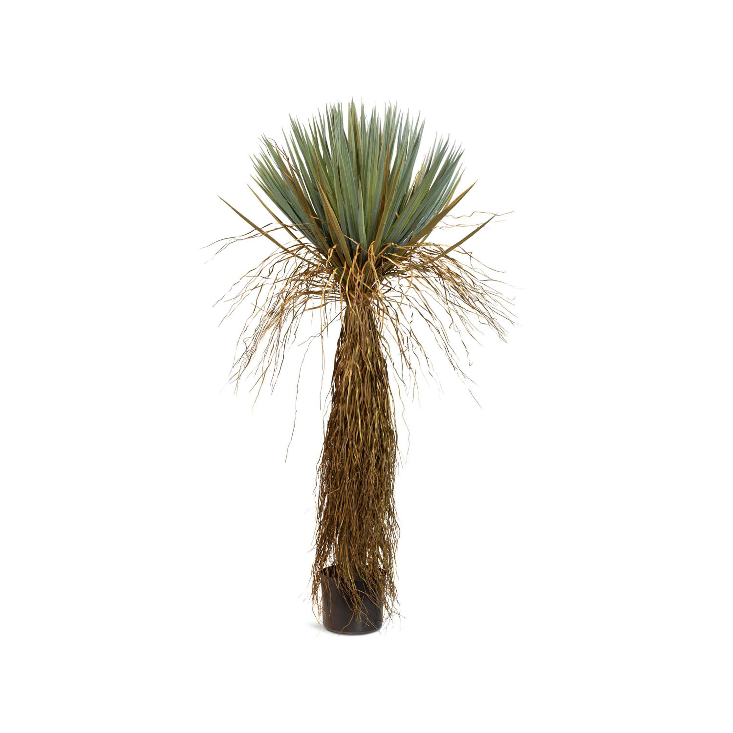 Yucca - Palmlilie Kunstpflanze, Höhe 164 cm günstig online kaufen