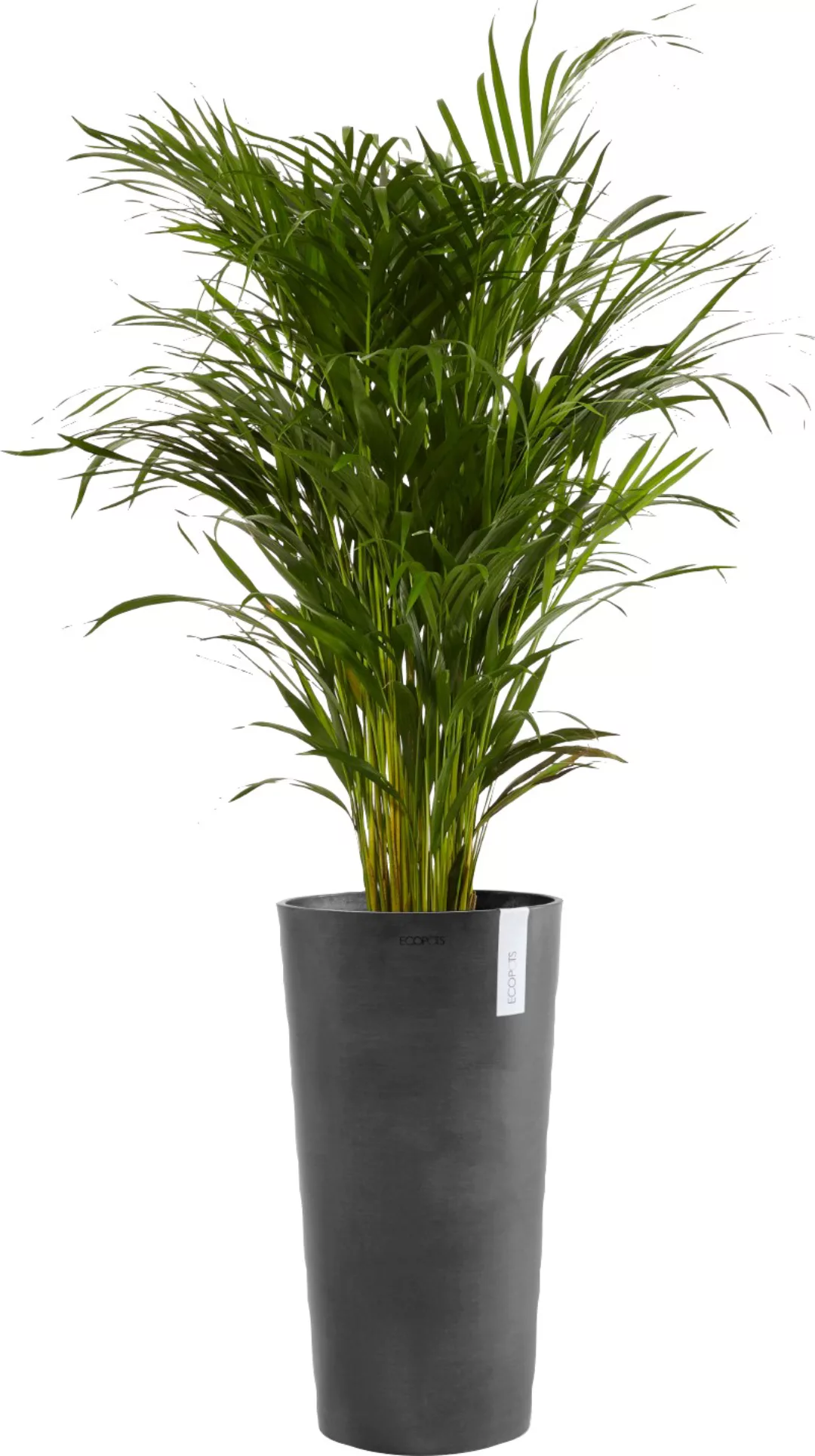 Ecopots Pflanztopf Amsterdam Hoch Dunkelgrau 41 cm x 76 cm günstig online kaufen