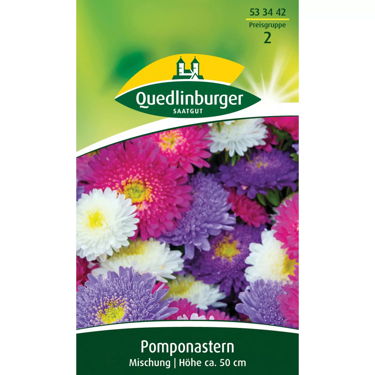 Quedlinburger Pomponaster ''Mischung'' günstig online kaufen