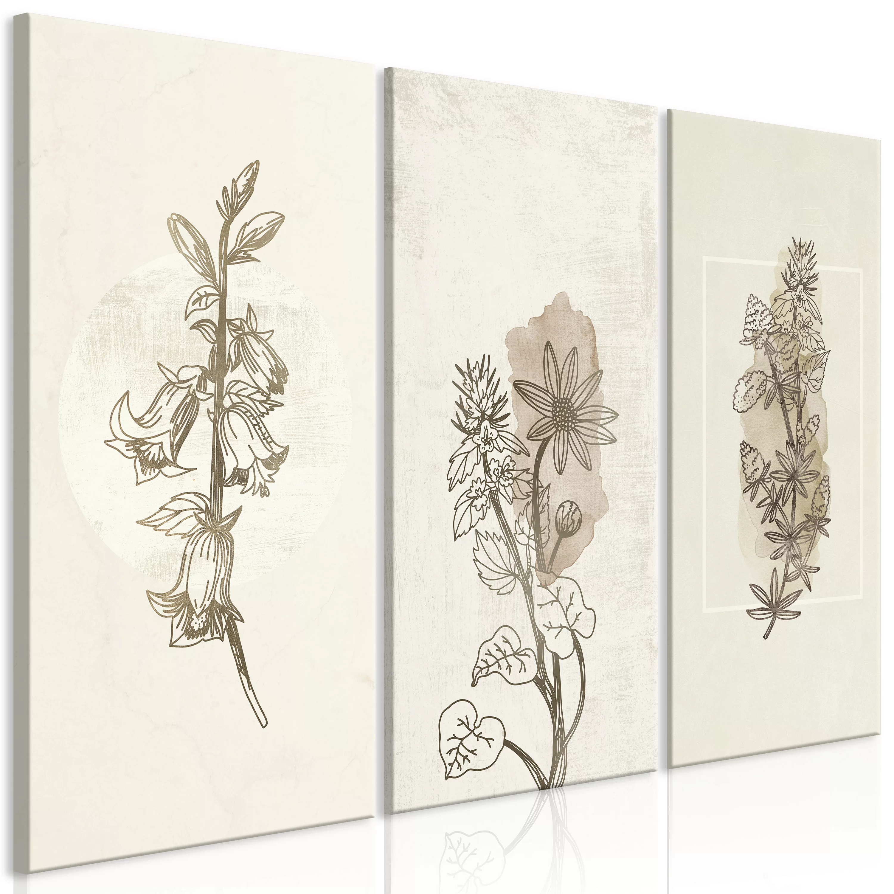 Wandbild - Herbarium (3 Parts) günstig online kaufen