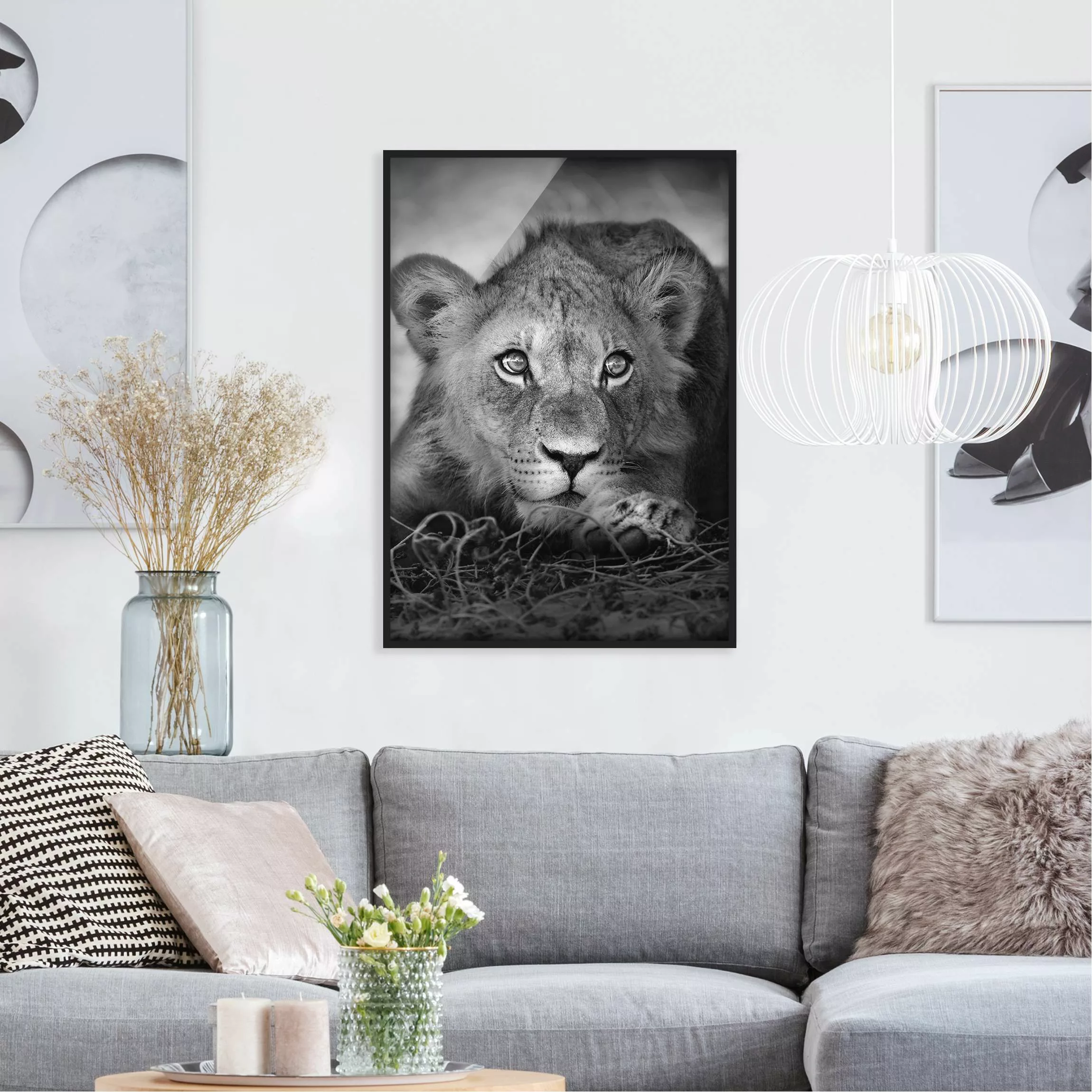 Bild mit Rahmen Tiere - Hochformat Lurking Lionbaby günstig online kaufen