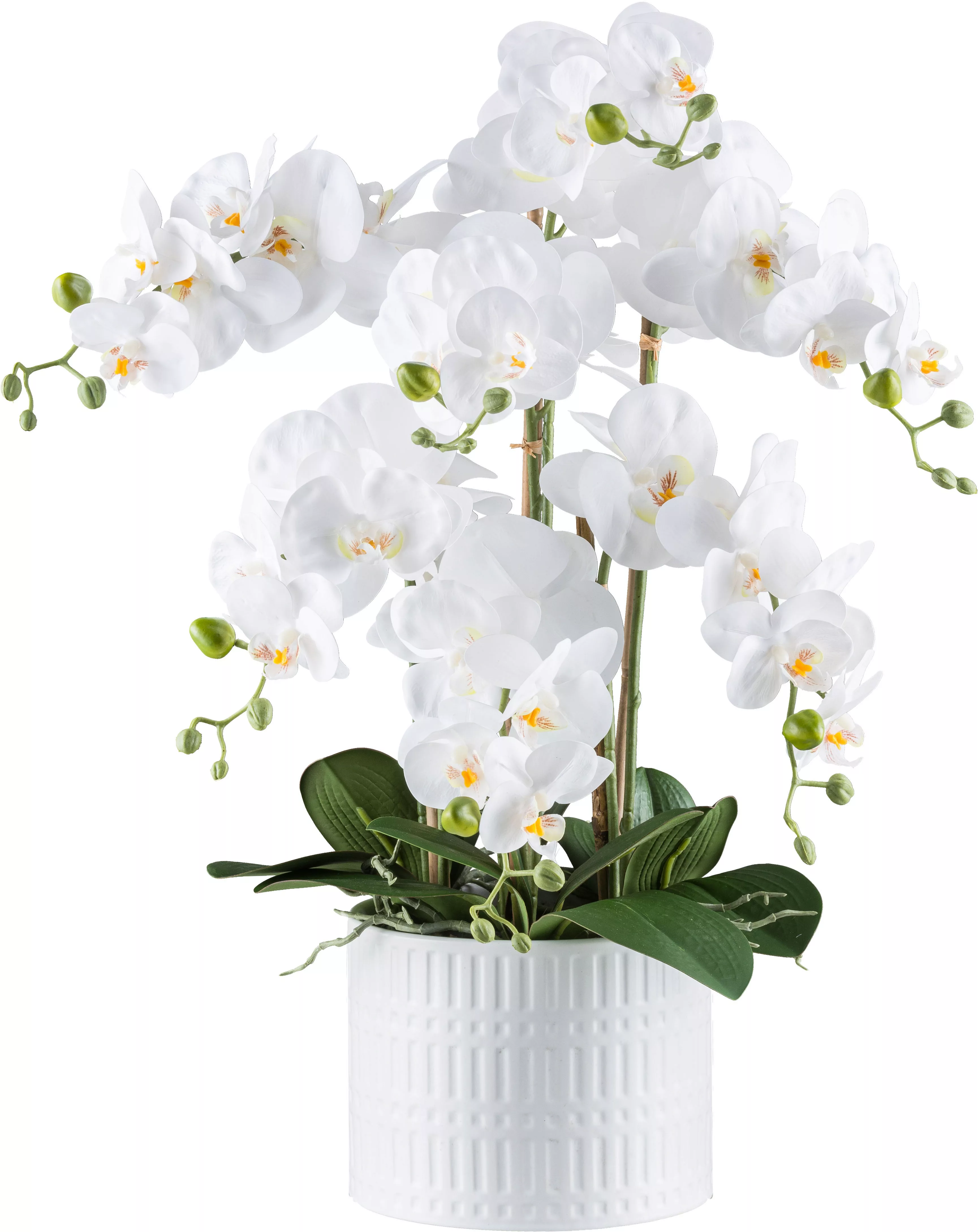 Creativ green Kunstorchidee "Orchidee Phalaenopsis", mit real-touch-Blüten günstig online kaufen