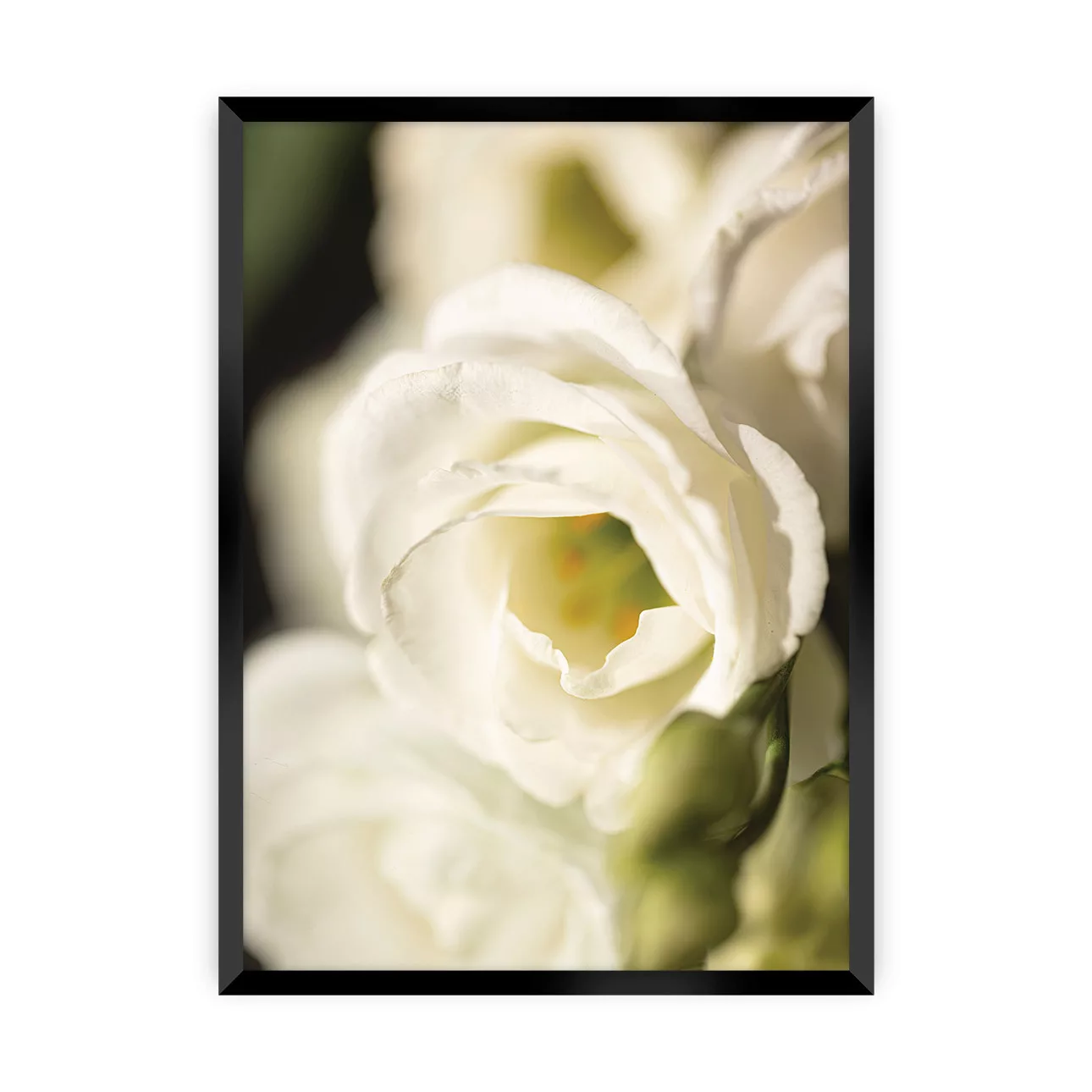 Poster Flower Wall, 21 x  30 cm, Rahmen wählen: schwarz günstig online kaufen