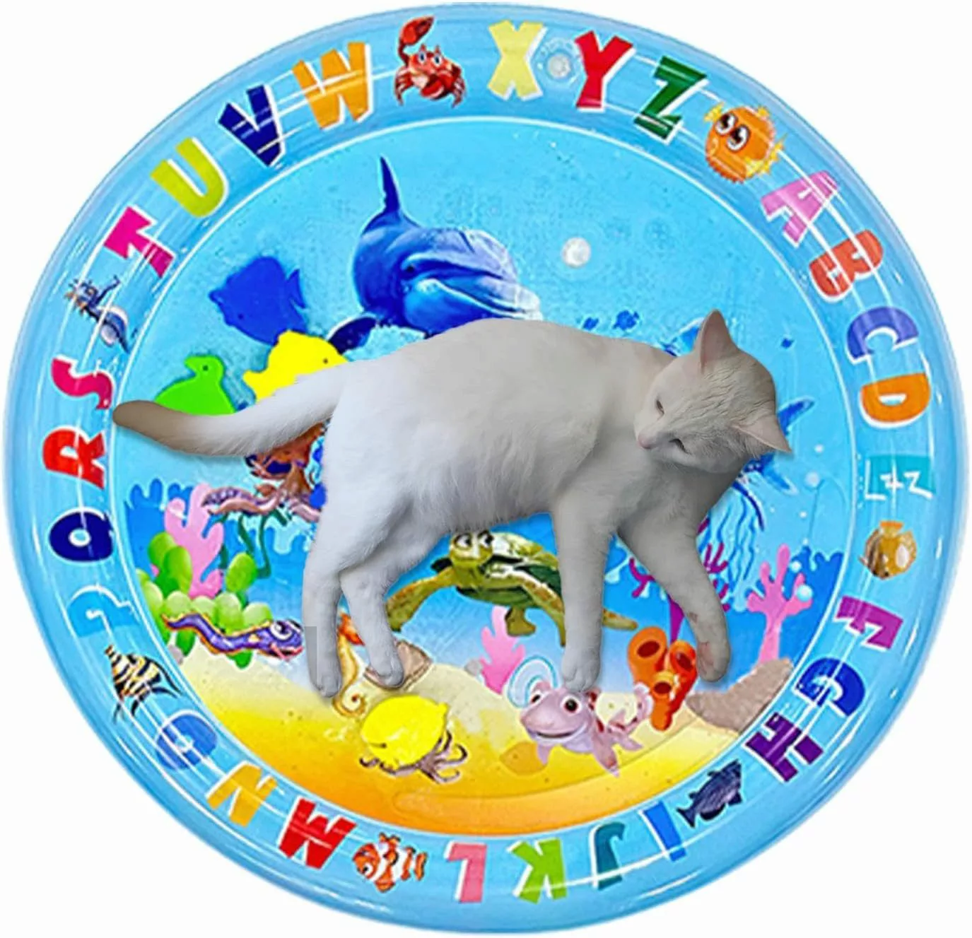 Coonoor Hundematte Sensorische Wasser Spielmatte,Katzen-Wasser-Spielmatte günstig online kaufen