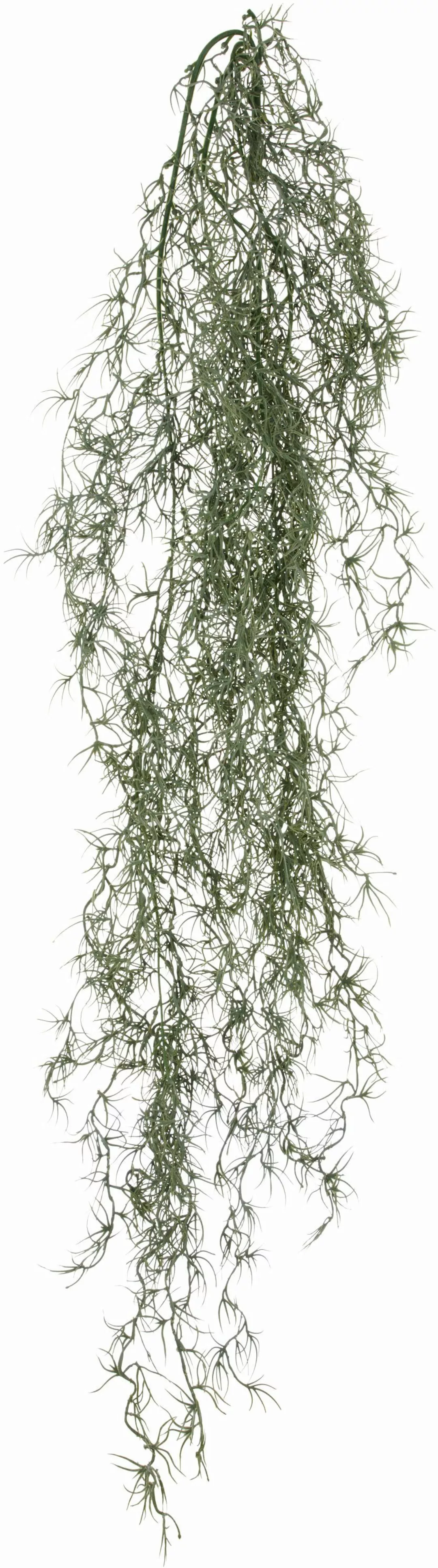 Creativ green Kunstranke "Tillandsia", mit filigranen Ranken günstig online kaufen