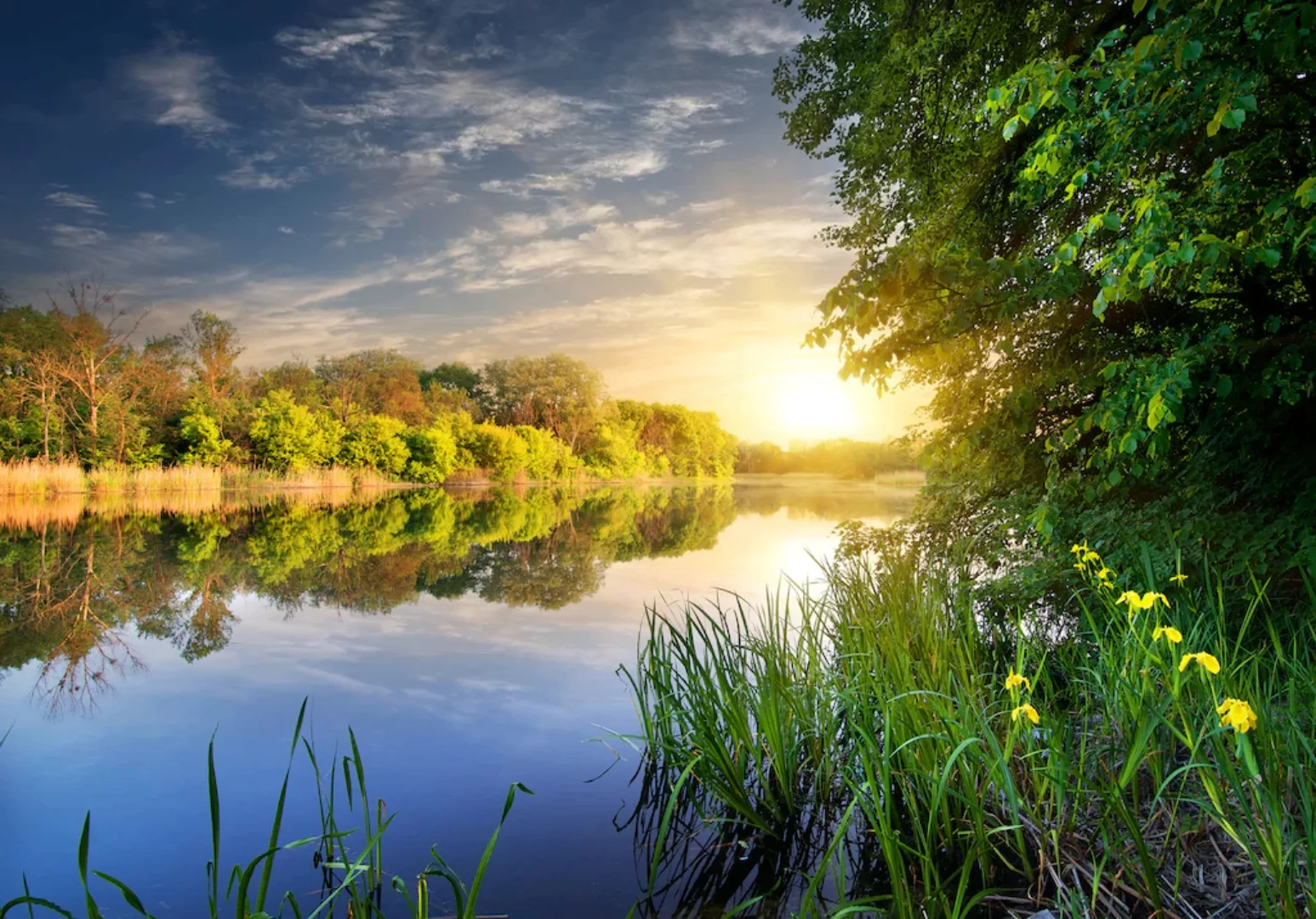 Papermoon Fototapete »River at the Sunset« günstig online kaufen