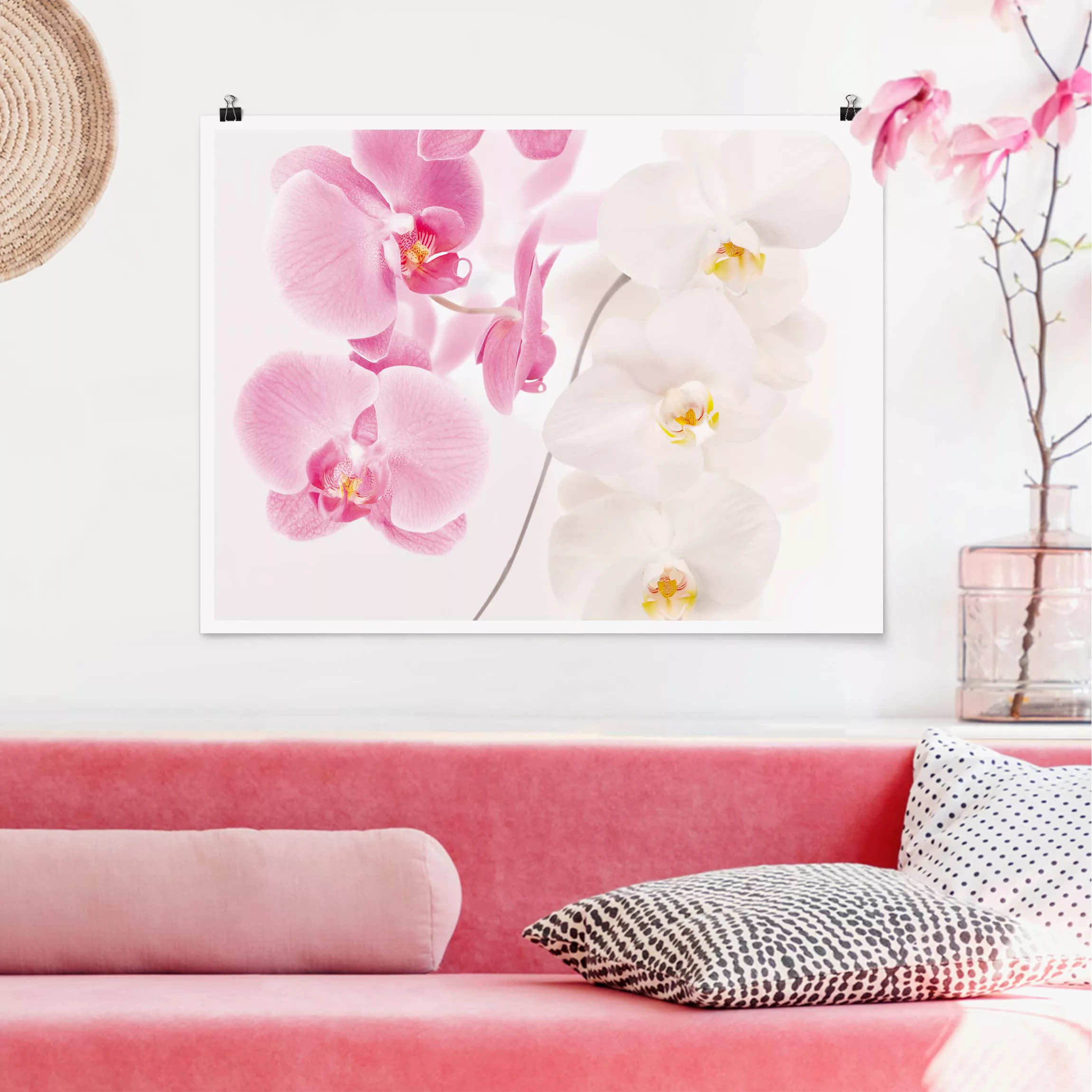 Poster Blumen - Querformat Delicate Orchids günstig online kaufen