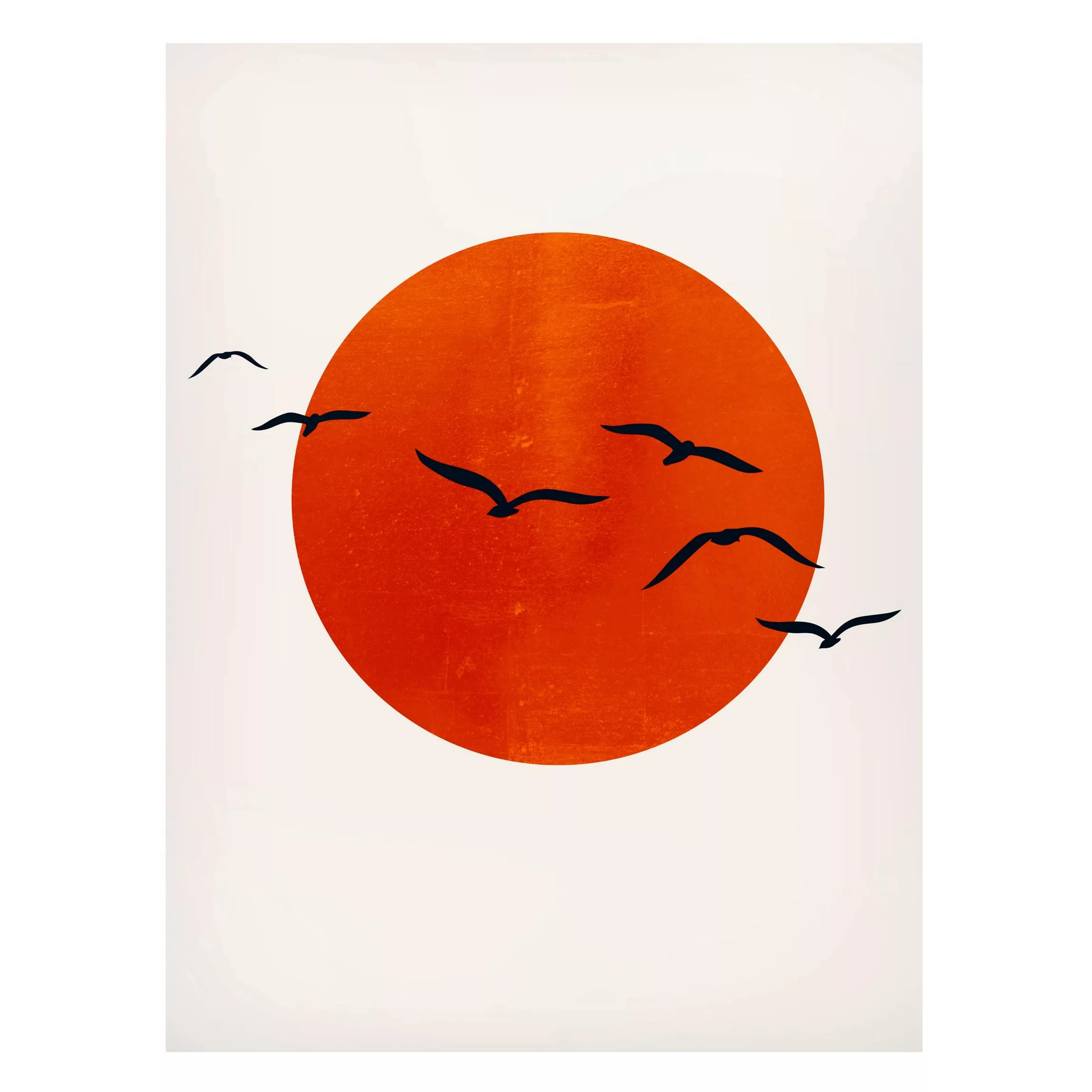 Magnettafel Vogelschwarm vor roter Sonne I günstig online kaufen