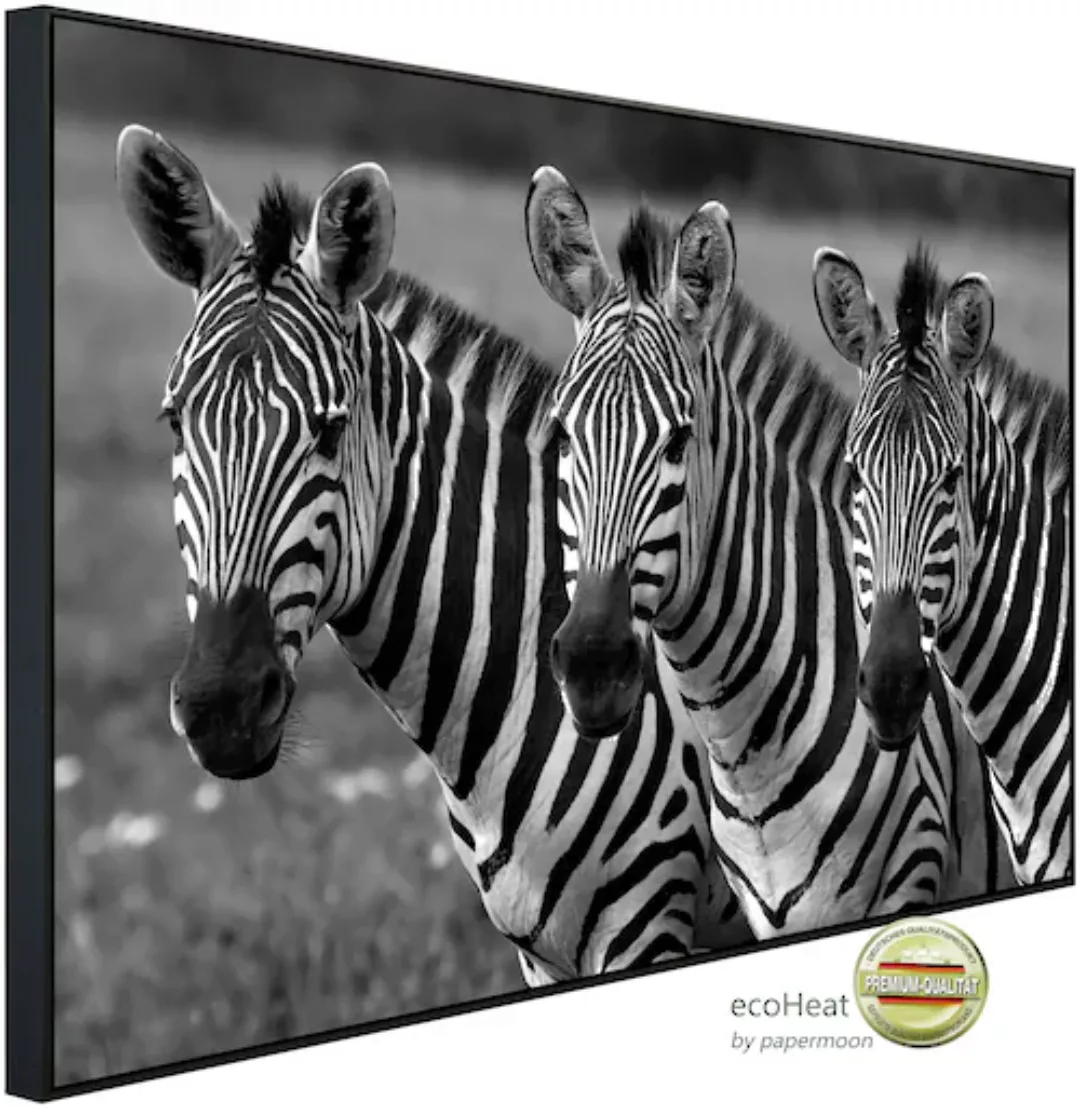 Papermoon Infrarotheizung »Zebras Schwarz & Weiß«, sehr angenehme Strahlung günstig online kaufen