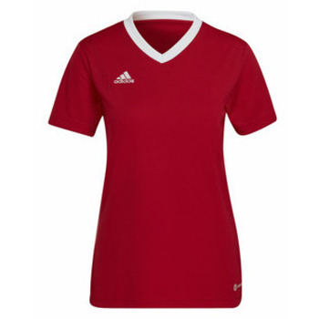 adidas  T-Shirt für Damen in unifarben günstig online kaufen