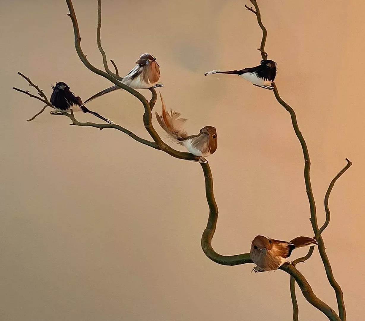 Künstliche Vögel Federschwanz Mit Klammer 6 Stück Christbaumschmuck günstig online kaufen
