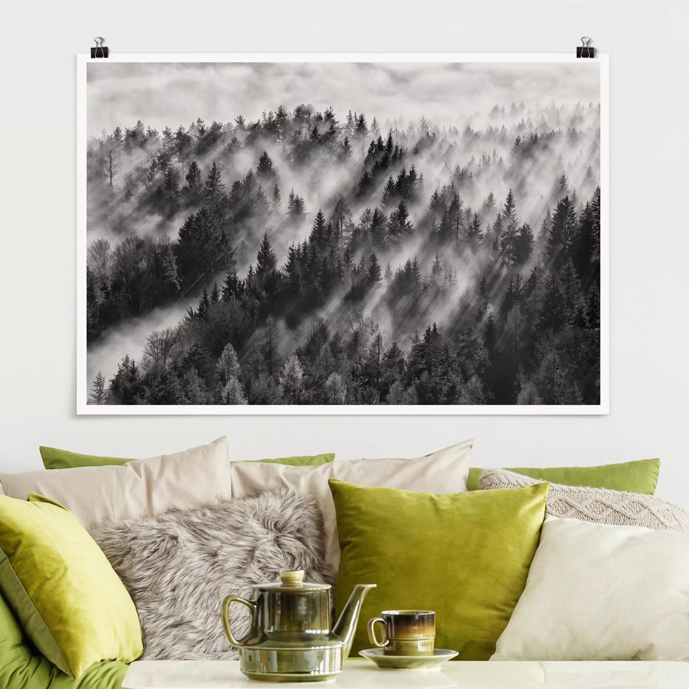 Poster Natur & Landschaft - Querformat Lichtstrahlen im Nadelwald günstig online kaufen
