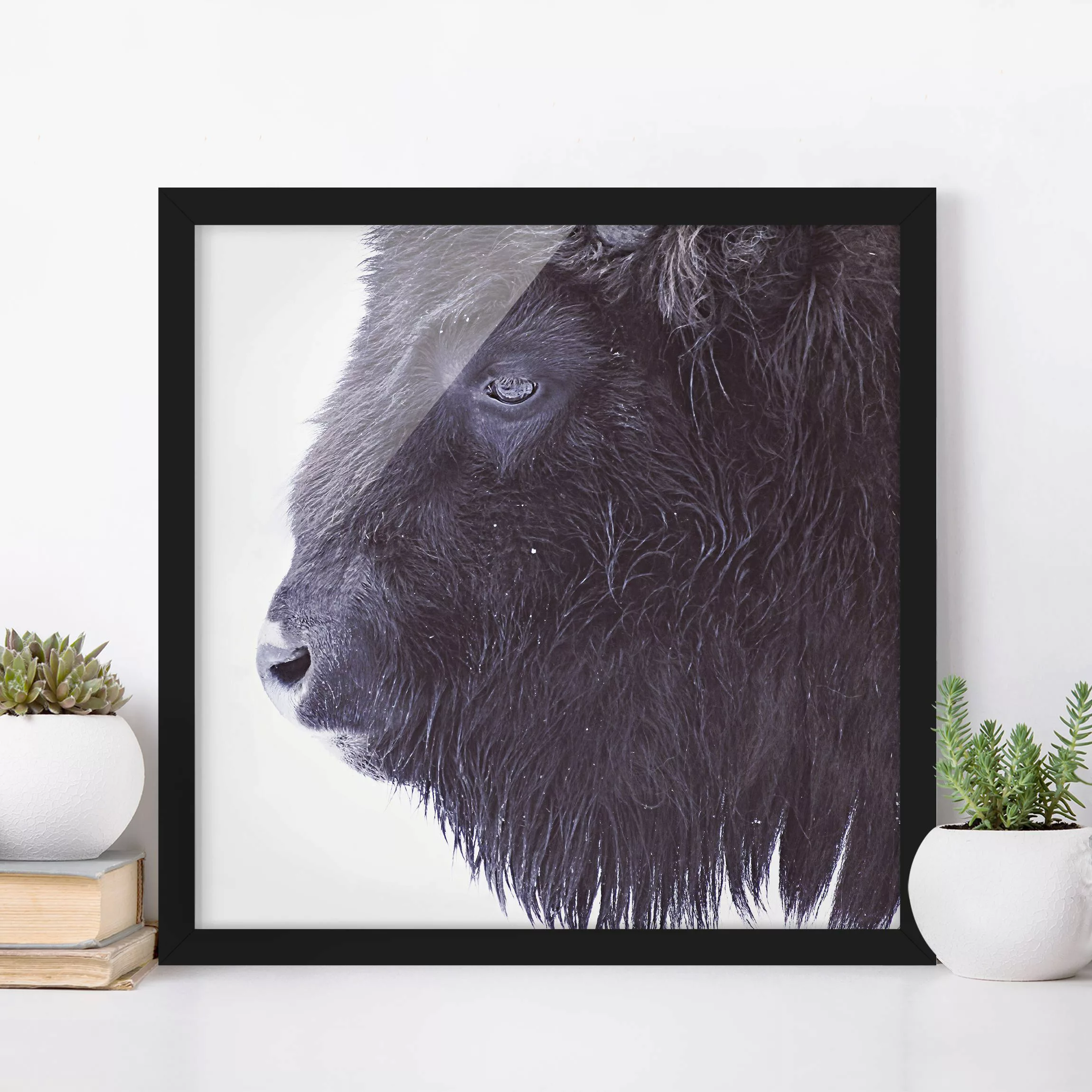 Bild mit Rahmen Schwarzer Büffel im Portrait günstig online kaufen
