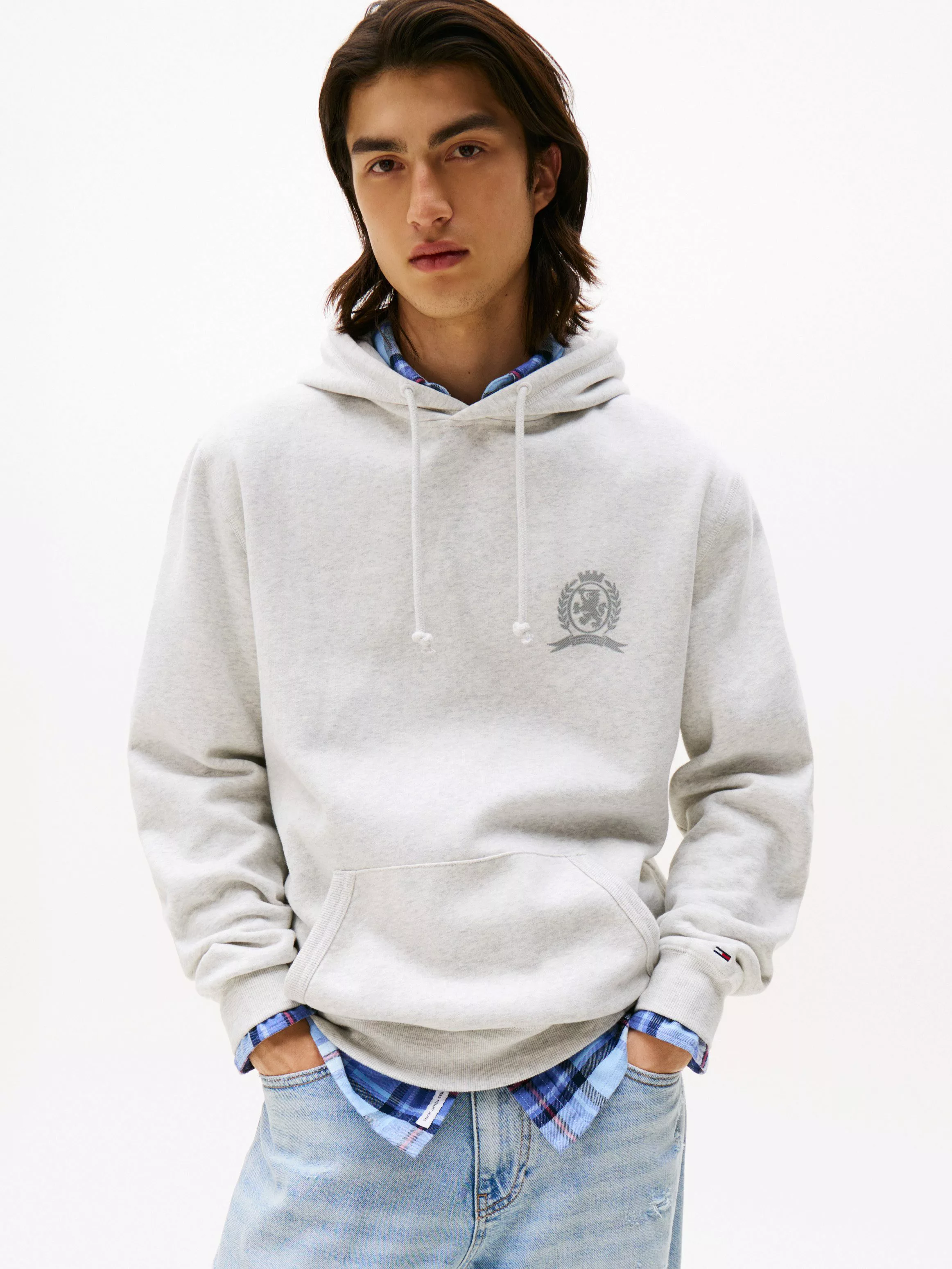 Tommy Jeans Hoodie TJM WASHED CREST günstig online kaufen