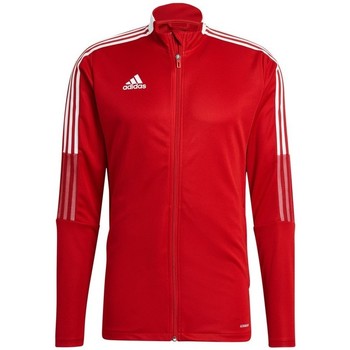 adidas  Sweatshirt Tiro 21 günstig online kaufen