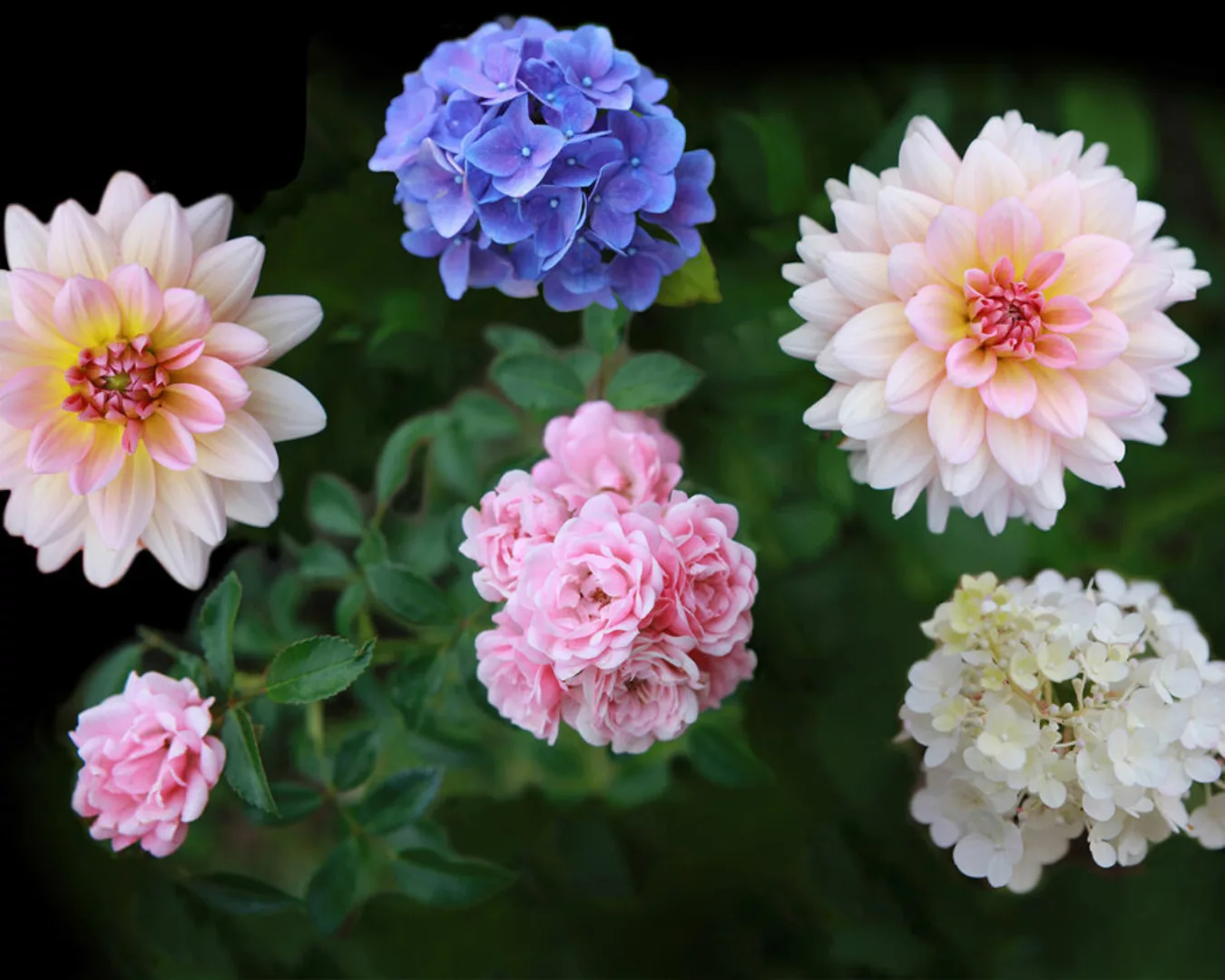 Fototapete "Blumen" 4,00x2,50 m / Strukturvlies Klassik günstig online kaufen