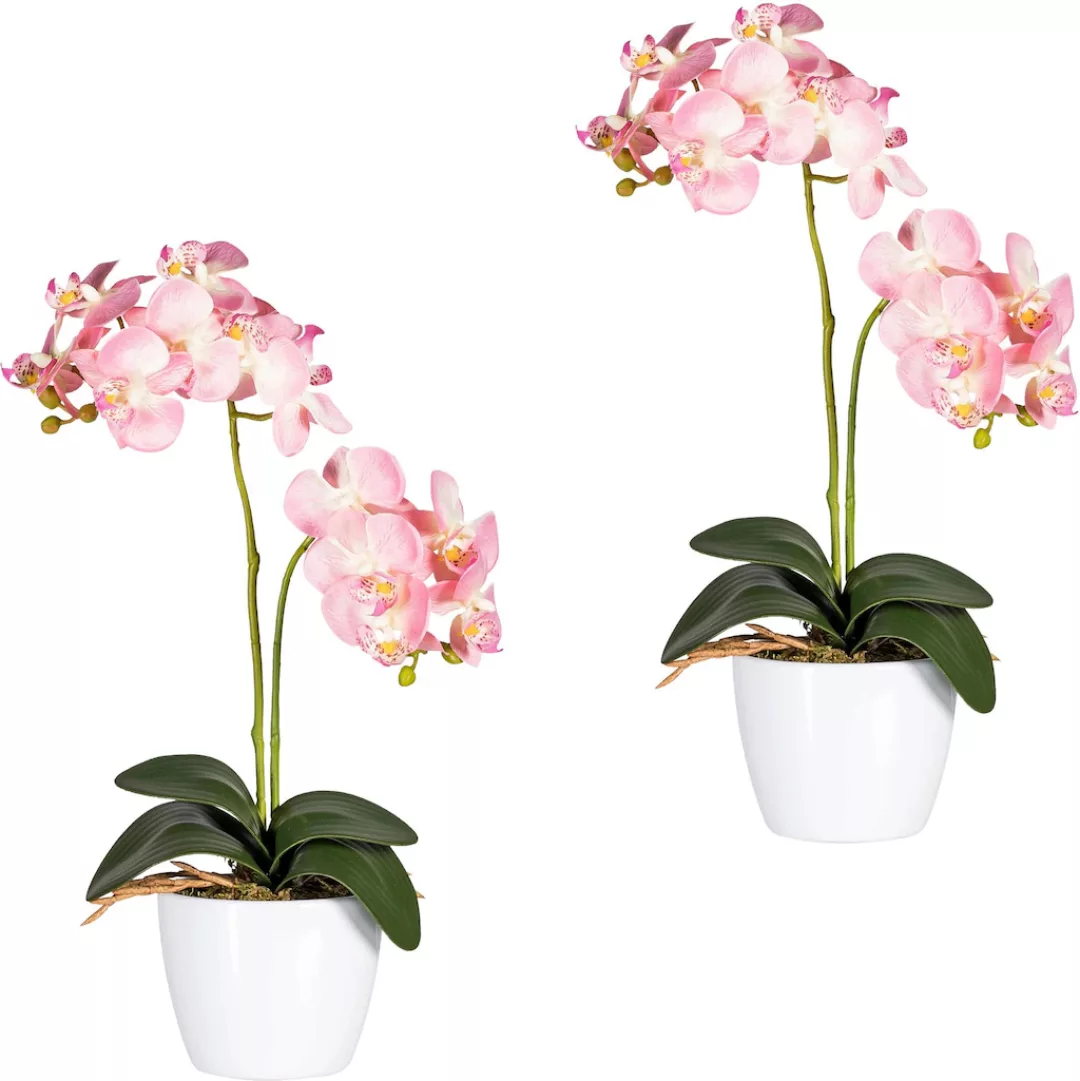 Creativ green Kunstpflanze "Phalaenopsis" günstig online kaufen