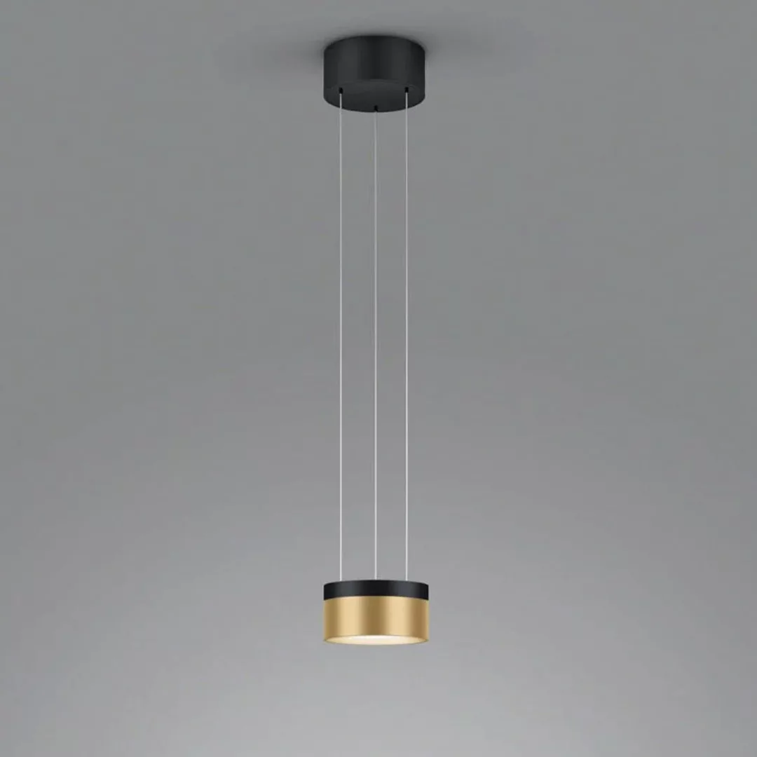Helestra Oda LED-Hängeleuchte schwarz/gold günstig online kaufen