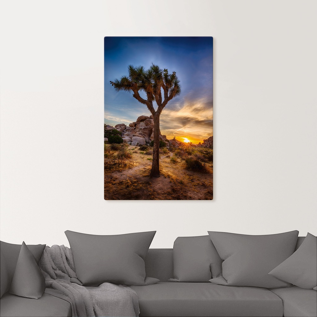 Artland Wandbild »Sonnenuntergang Joshua Tree NationalPark« (1 Stück), in v günstig online kaufen