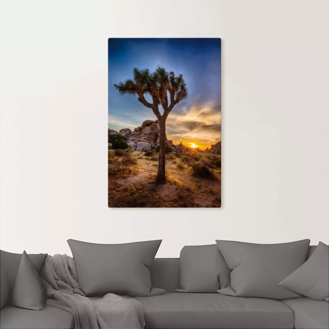 Artland Wandbild "Sonnenuntergang Joshua Tree NationalPark" (1 Stück), in v günstig online kaufen