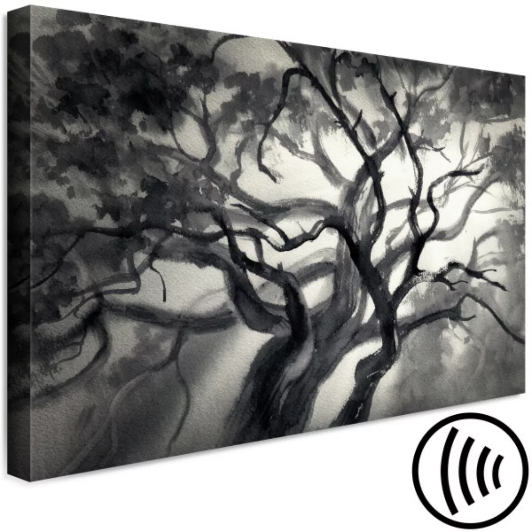 Leinwandbild Baum in der Sonne - schwarz-weiße Zweige, Nebel und Sonnenstra günstig online kaufen