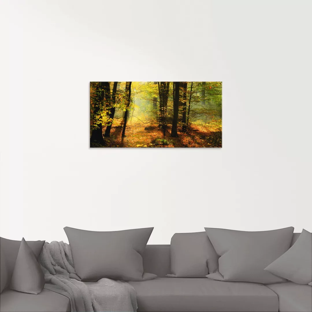 Artland Glasbild "Herbstlicht im Wald", Wald, (1 St.) günstig online kaufen