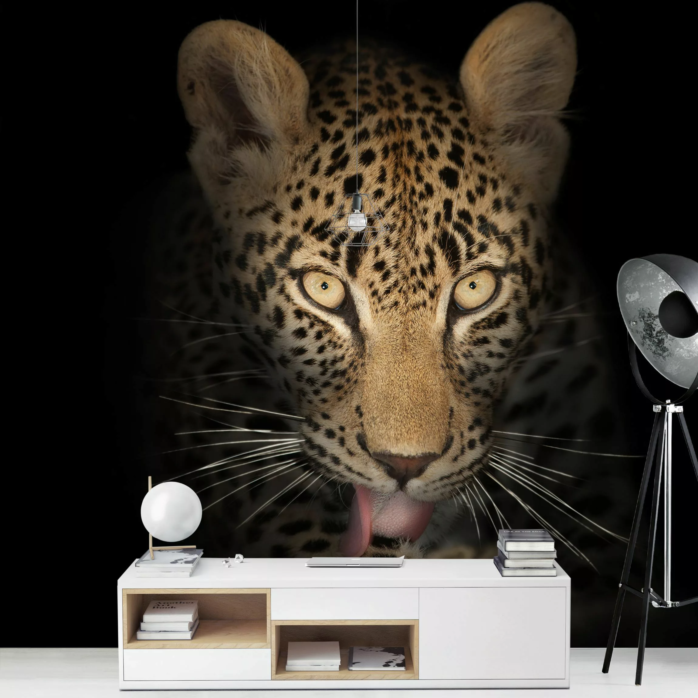 Fototapete Resting Leopard günstig online kaufen
