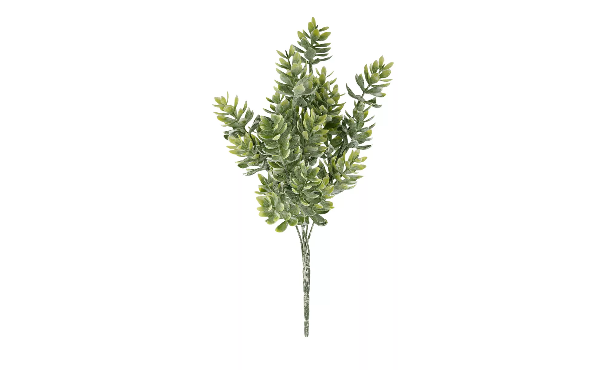 Hopfenzweig - grün - Kunststoff, Metall - 30 cm - Dekoration > Kunstblumen günstig online kaufen