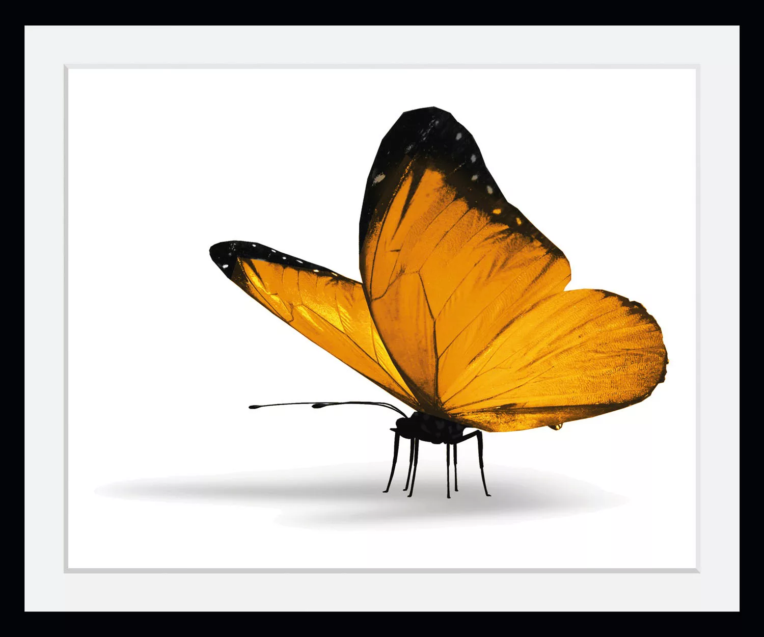 queence Bild »Maria 1.0«, Schmetterlinge-Kunst-Insekten-historische Ereigni günstig online kaufen