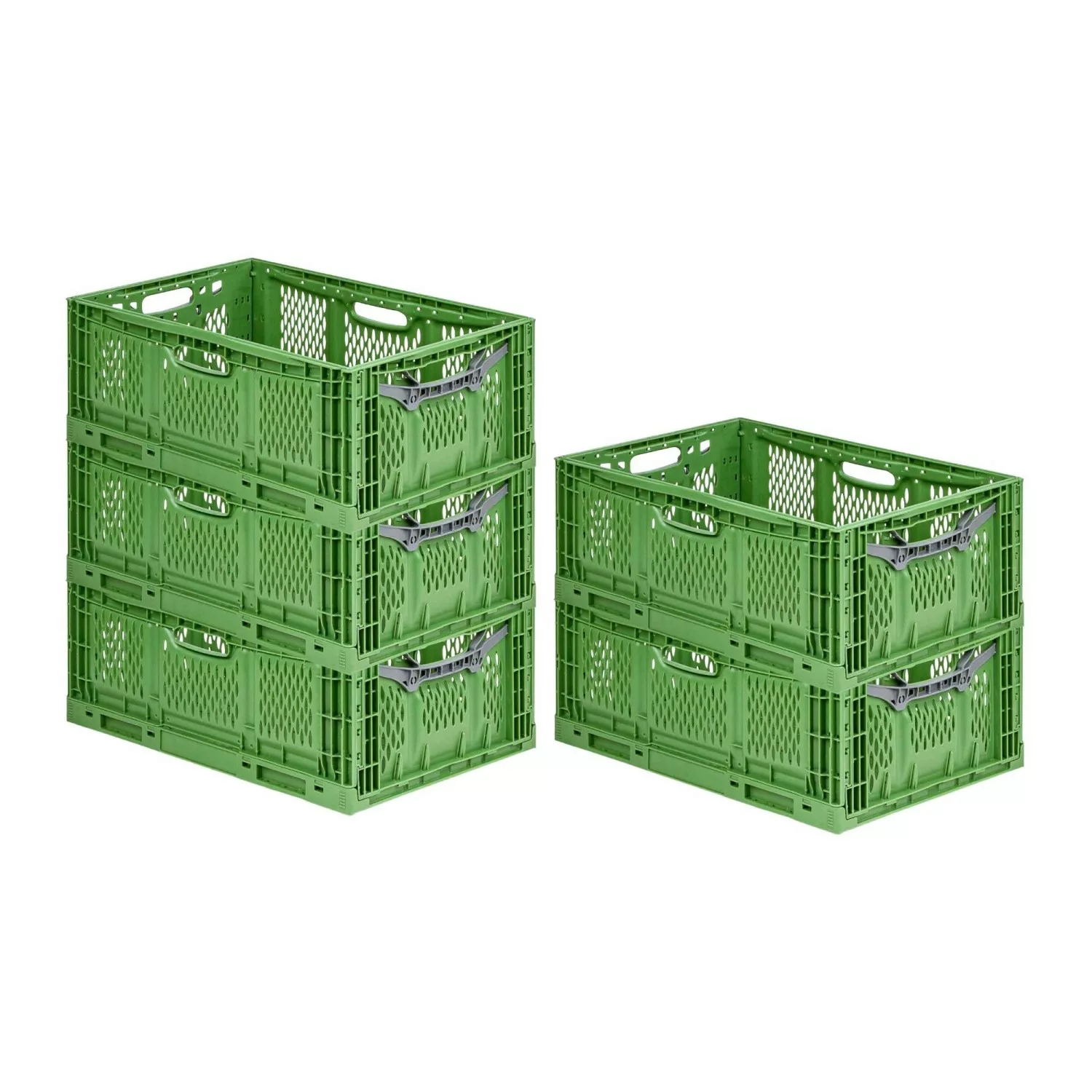 PROREGAL SuperSparSet 5x Stabile Profi-Klappbox Chameleon in Industriequali günstig online kaufen