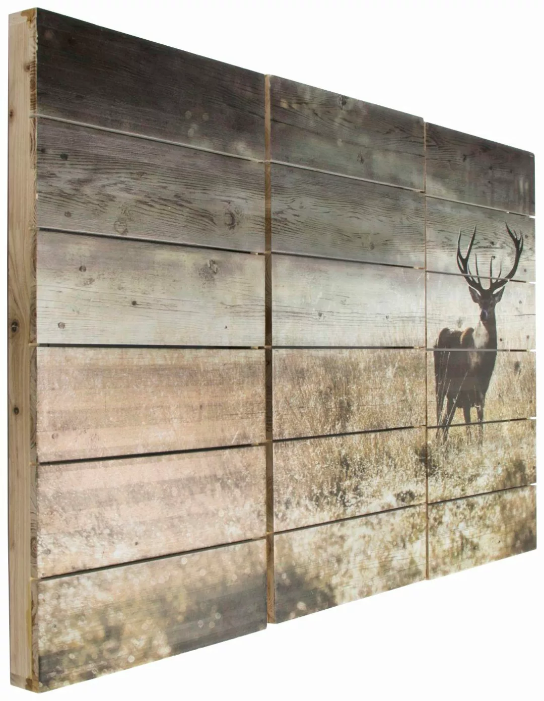 Art for the home Holzbild "Woodland Stag", Hirsche, (3 St.) günstig online kaufen