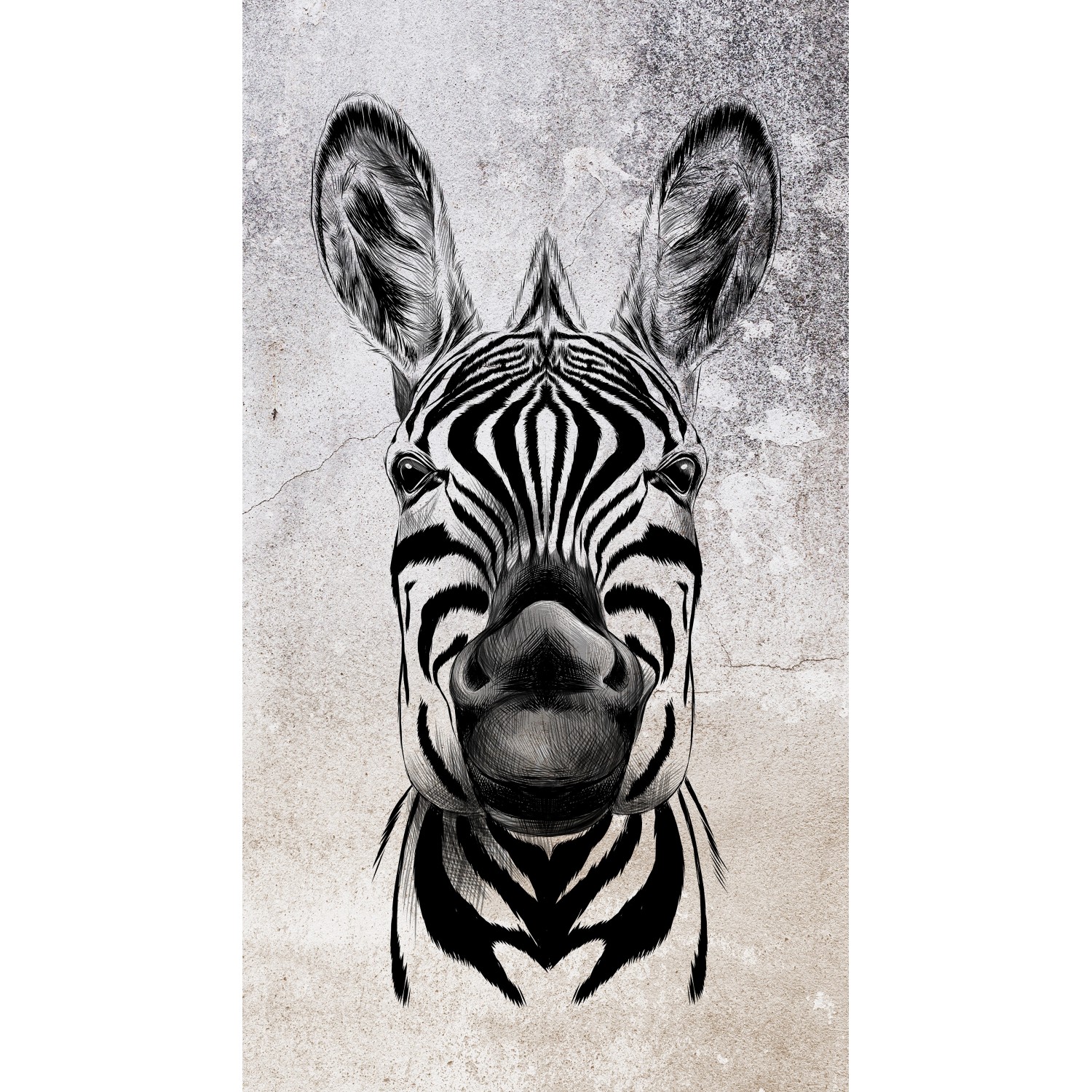 Erismann Digitaltapete Zooom Cool Zebra 270 cm x 150 cm günstig online kaufen