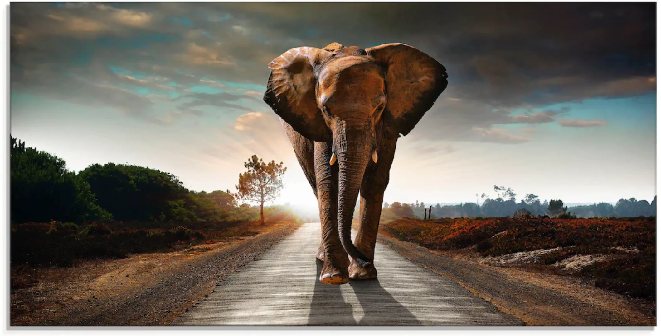 Artland Glasbild »Ein Elefant läuft auf der Straße«, Wildtiere, (1 St.), in günstig online kaufen