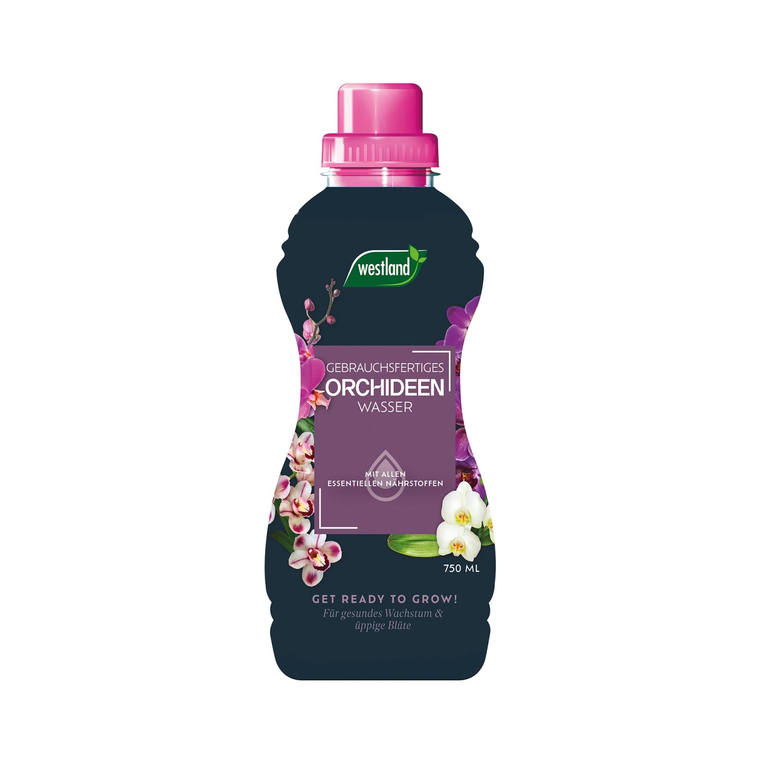 Westland Orchideen-Wasser 750 ml günstig online kaufen