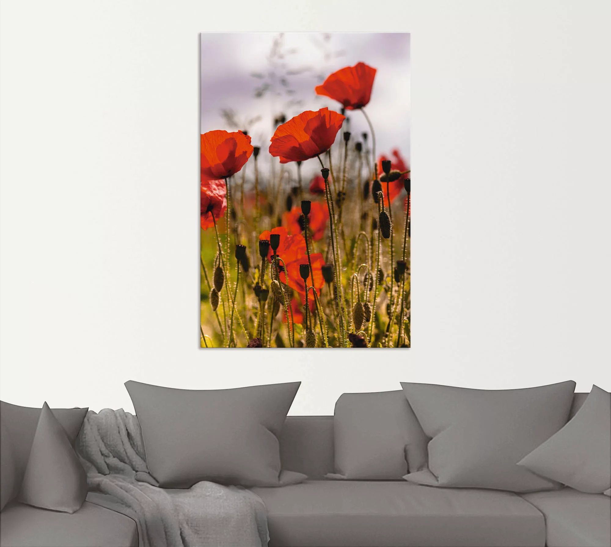 Artland Wandbild »Mohnblumen im Morgenlicht«, Blumenwiese, (1 St.), als Alu günstig online kaufen