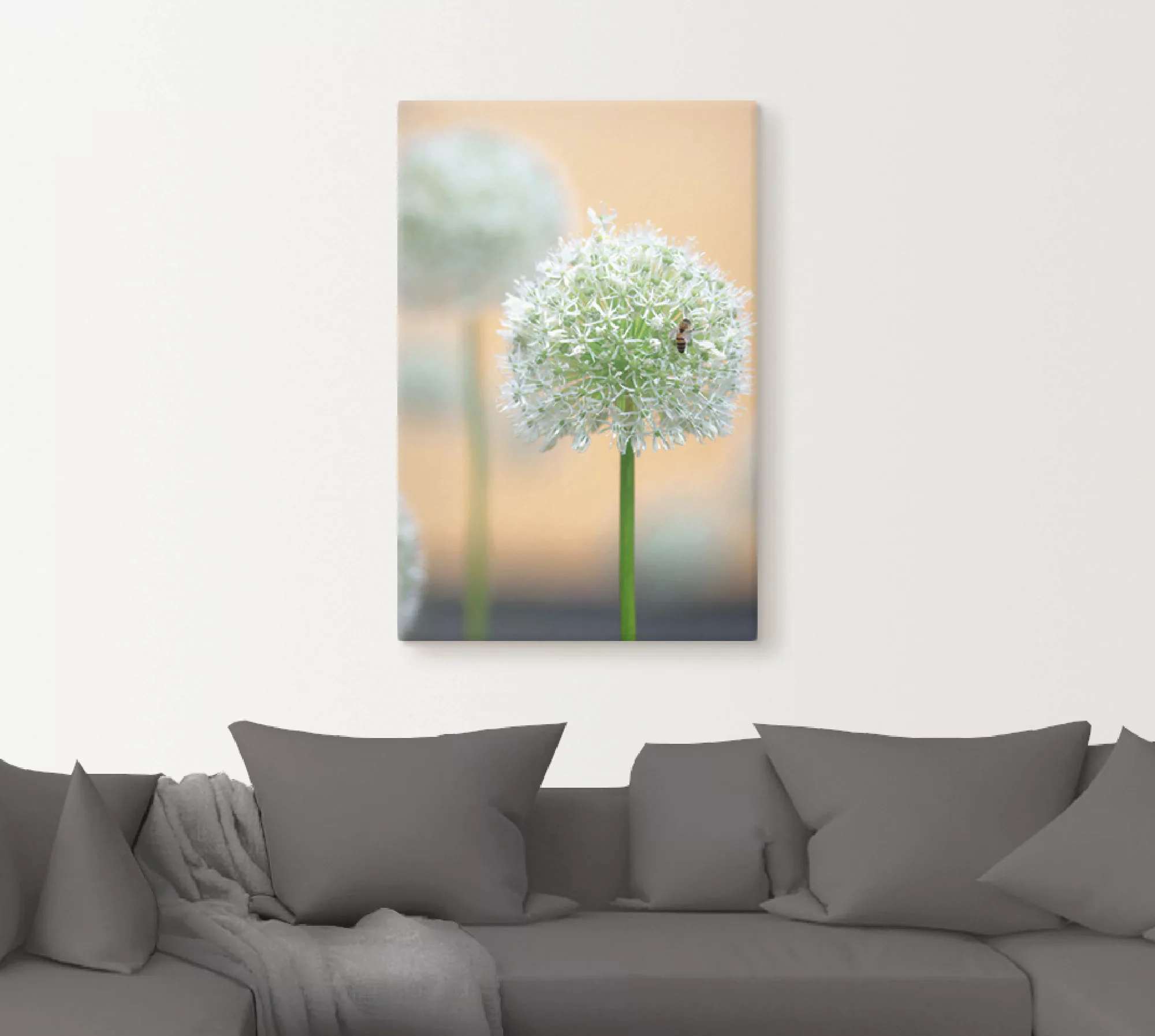 Artland Wandbild "Großer Allium in Pastell", Blumen, (1 St.), als Leinwandb günstig online kaufen