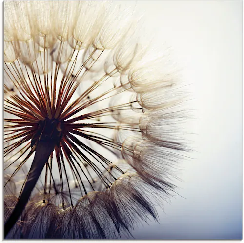 Artland Glasbild "Große Pusteblume", Blumen, (1 St.), in verschiedenen Größ günstig online kaufen