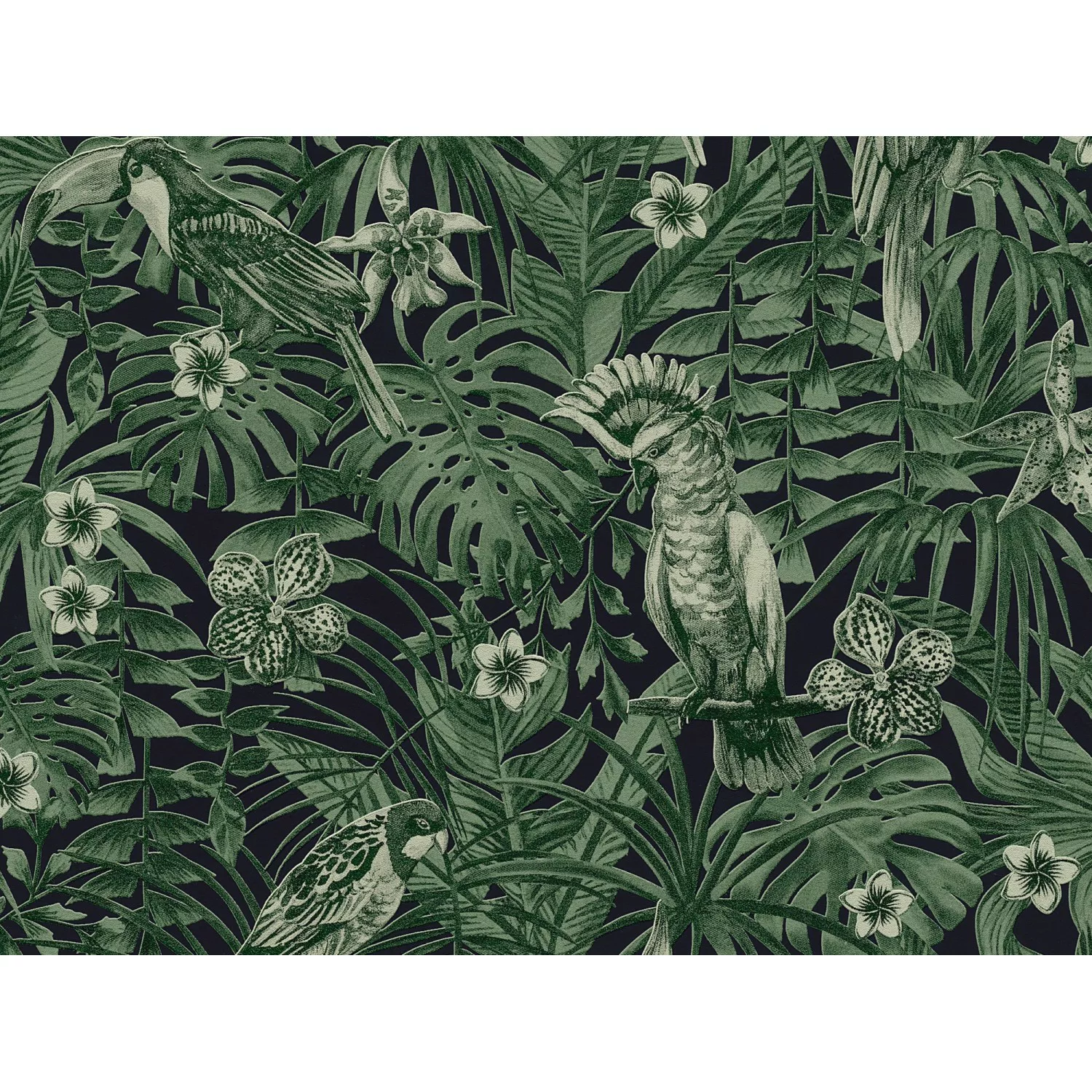 Bricoflor Dschungel Tapete mit Vögeln Palmen Tapete mit Papagei in Dunkelgr günstig online kaufen