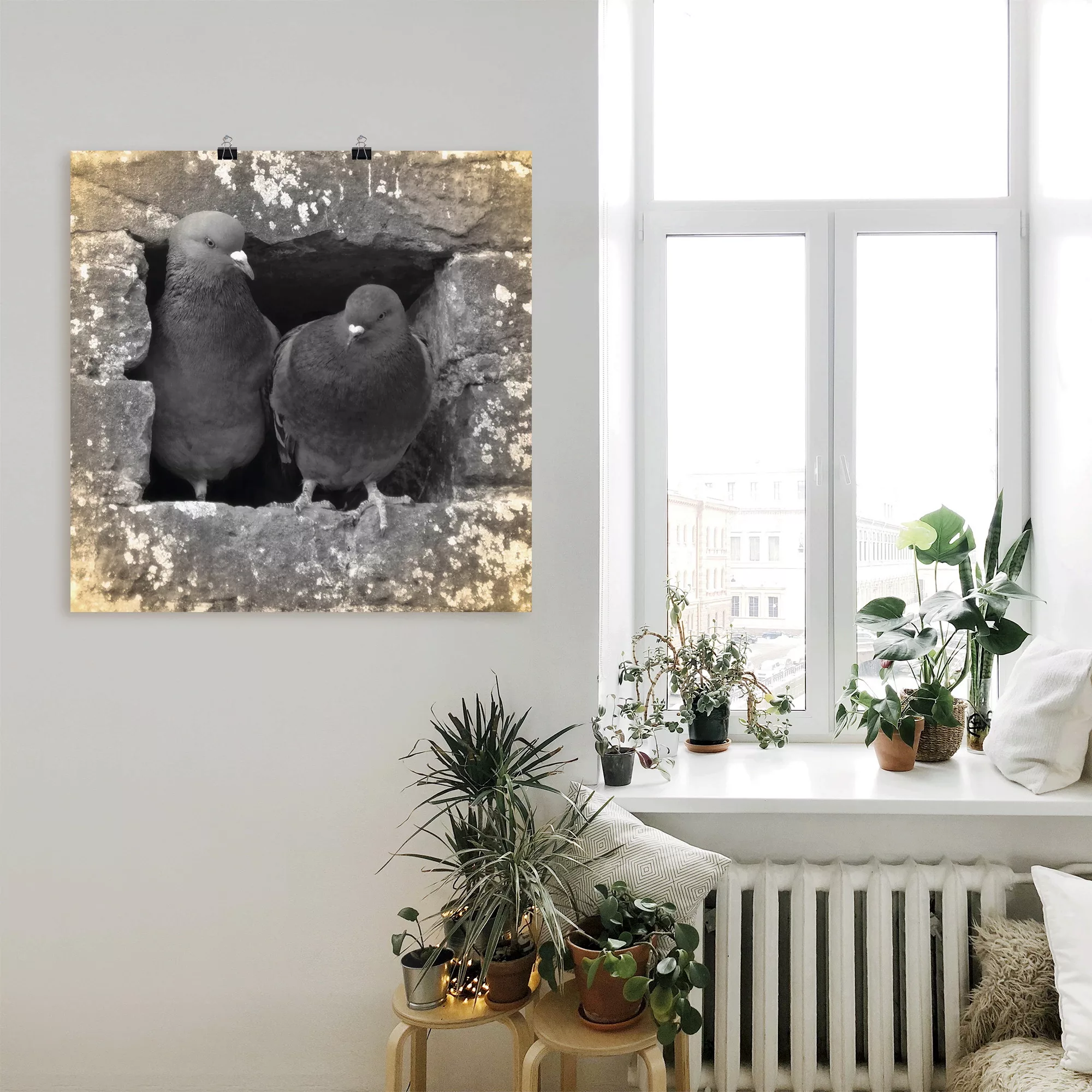 Artland Wandbild "Tauben Liebe", Vögel, (1 St.), als Alubild, Outdoorbild, günstig online kaufen