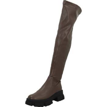 Steve Madden  Stiefel RIVEREDGE günstig online kaufen