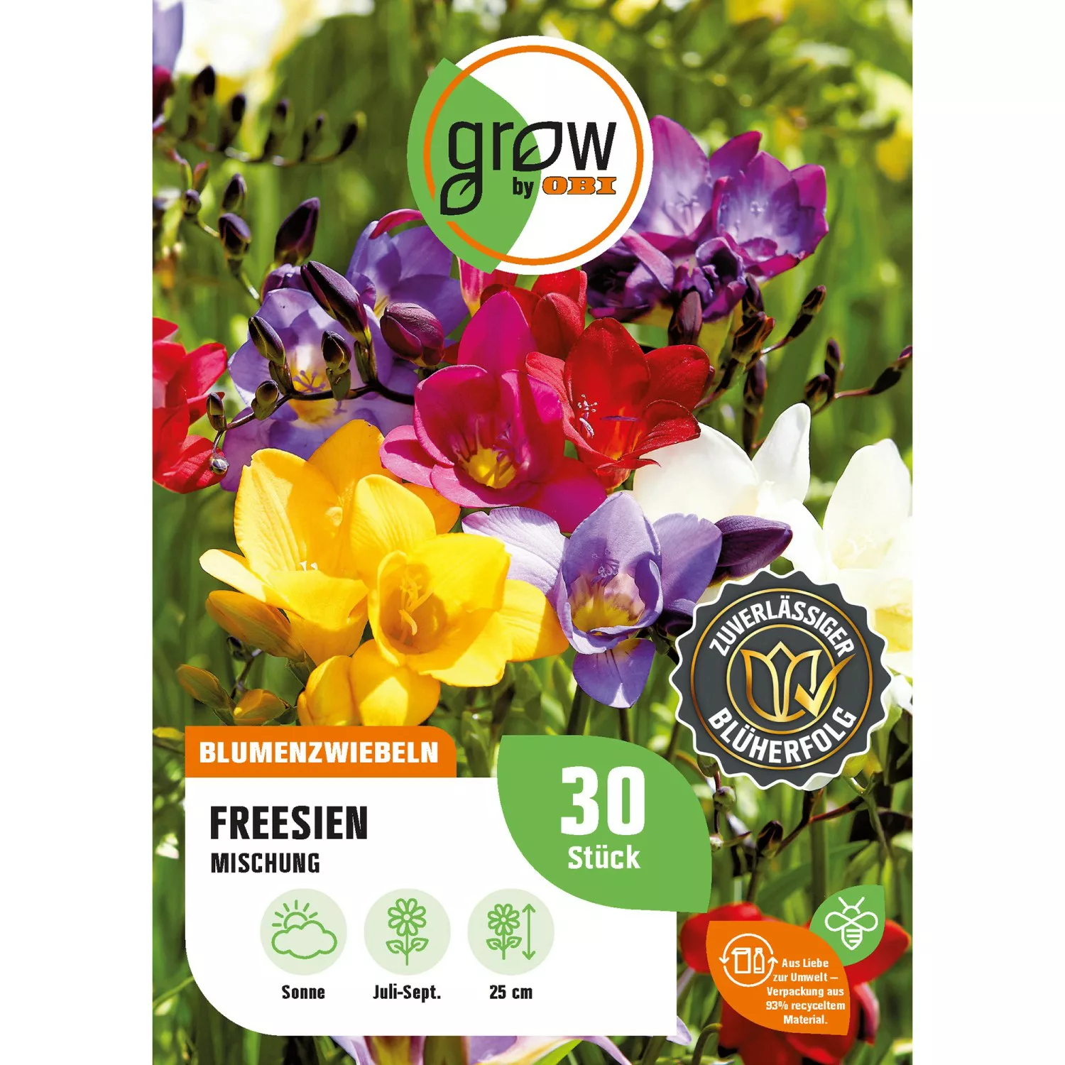 GROW by OBI Freesien Mischung Höhe ca. 25 cm Freesia single günstig online kaufen