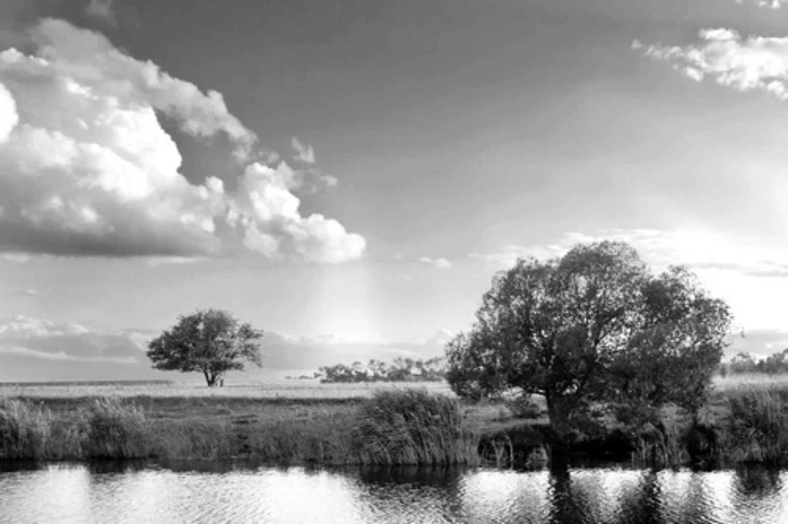 Papermoon Fototapete »Landschaft Schwarz & Weiß« günstig online kaufen