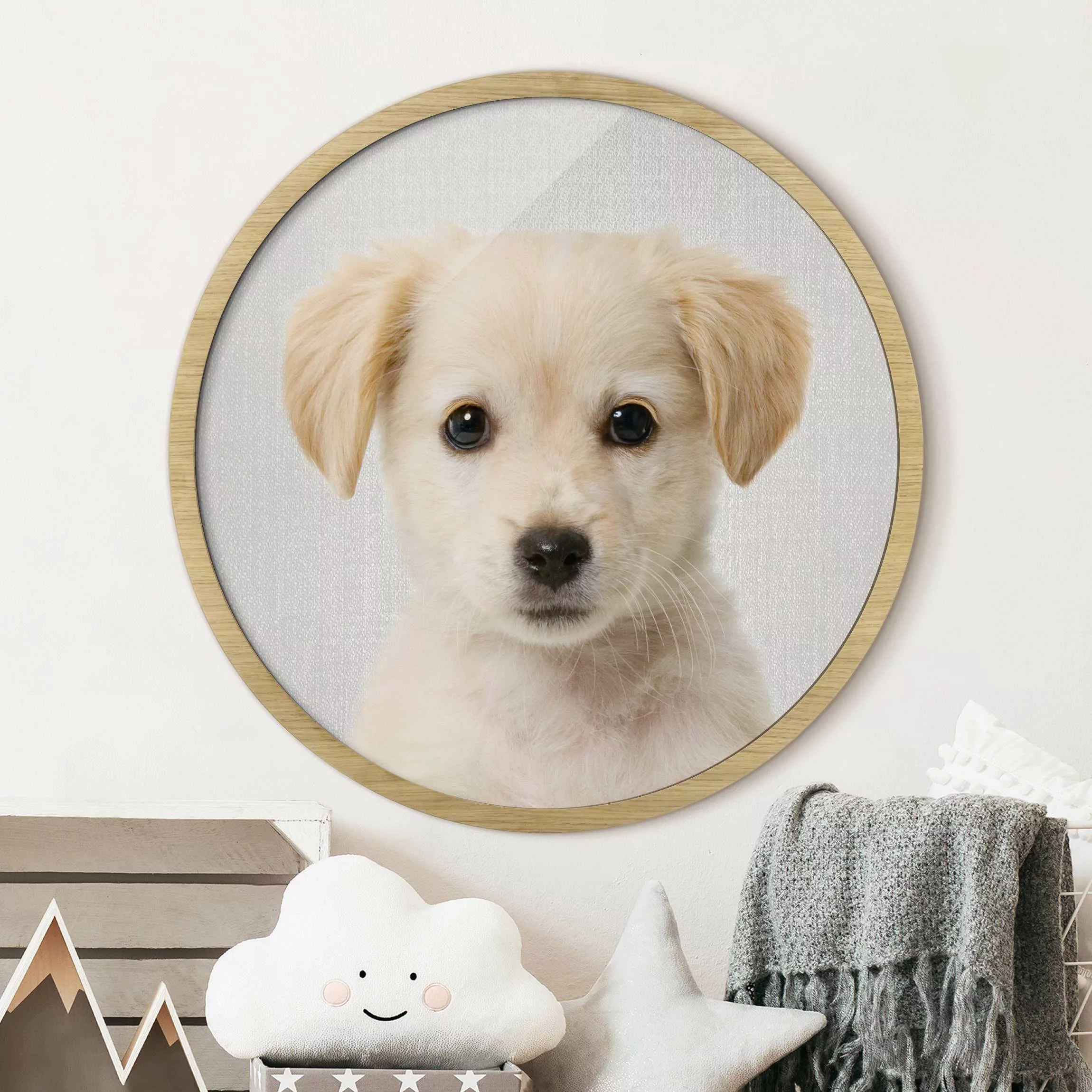 Rundes Bild mit Rahmen Baby Golden Retriever Gizmo günstig online kaufen