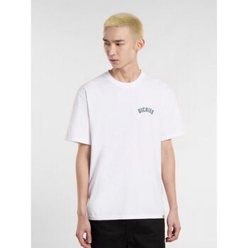 Dickies  T-Shirts & Poloshirts CIRCLE DK0A4Z950WH1-WHITE günstig online kaufen