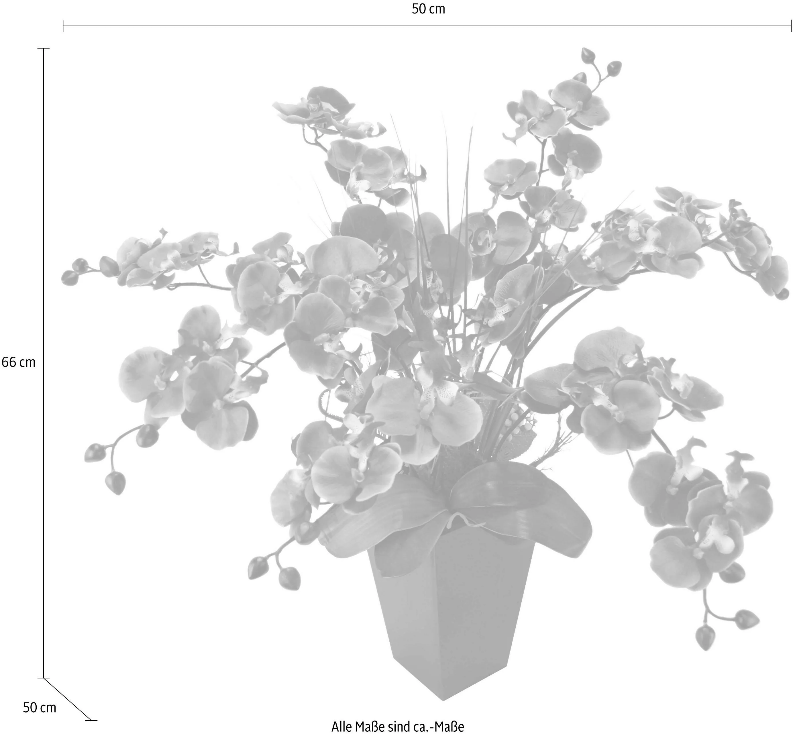 I.GE.A. Kunstpflanze "Phalaenopsis im Topf" günstig online kaufen